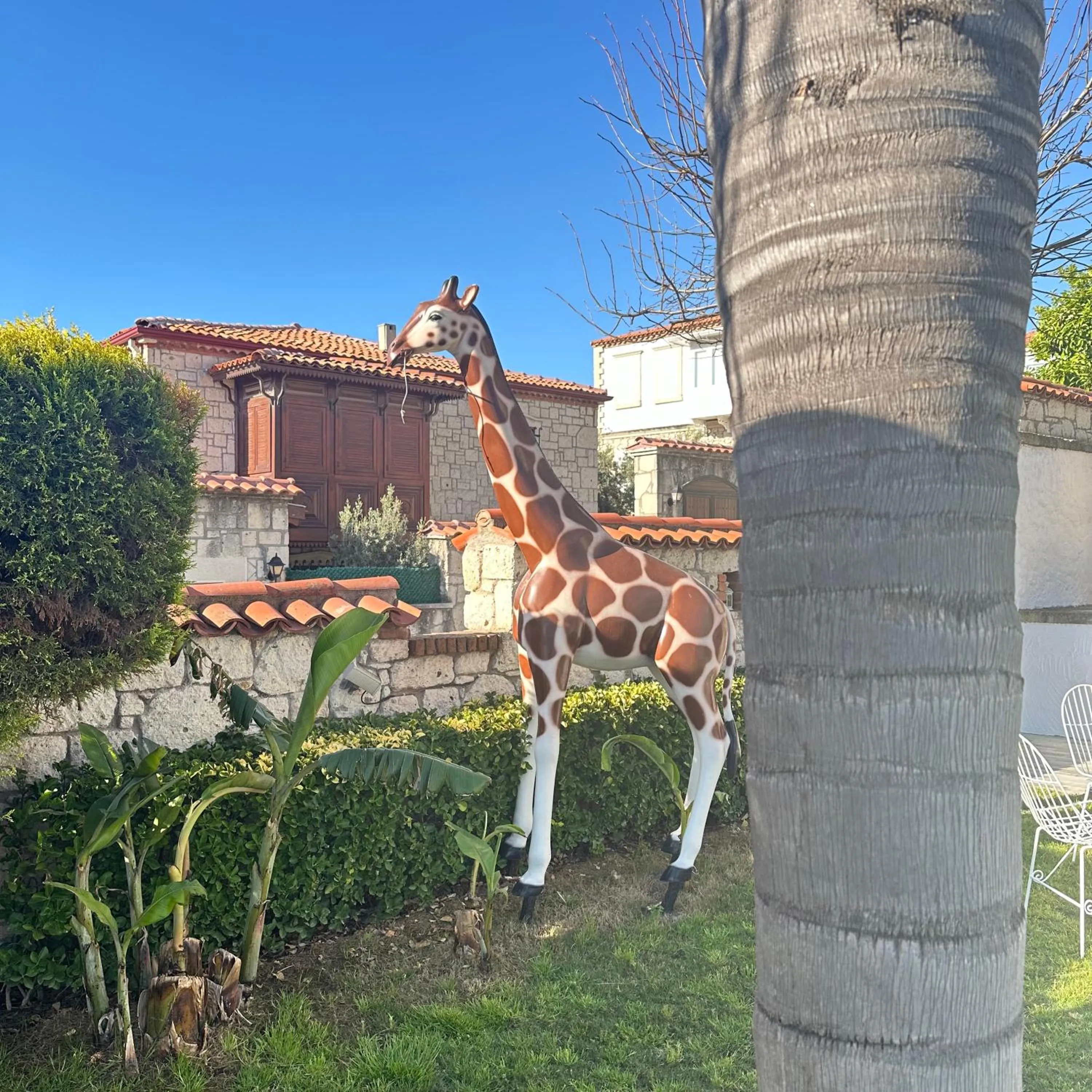 Garden in Imren Han Hotel - Special Category