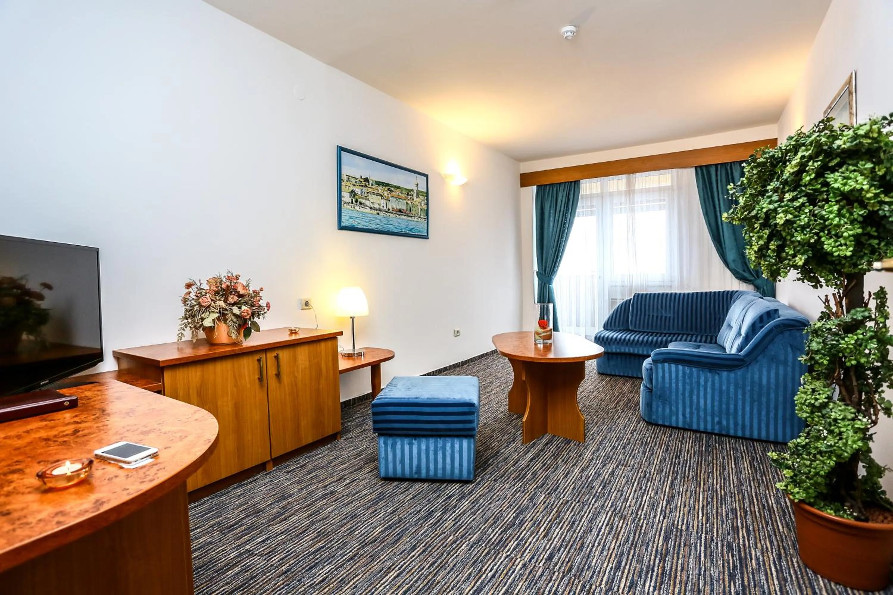 TV and multimedia in Hotel Dražica - Hotel Resort Dražica