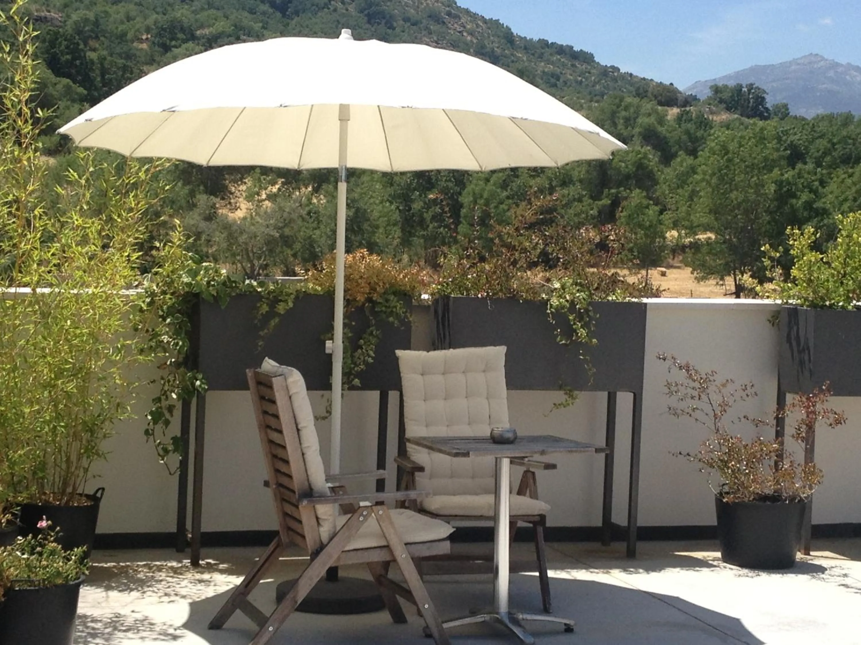 Patio in El Hotelito