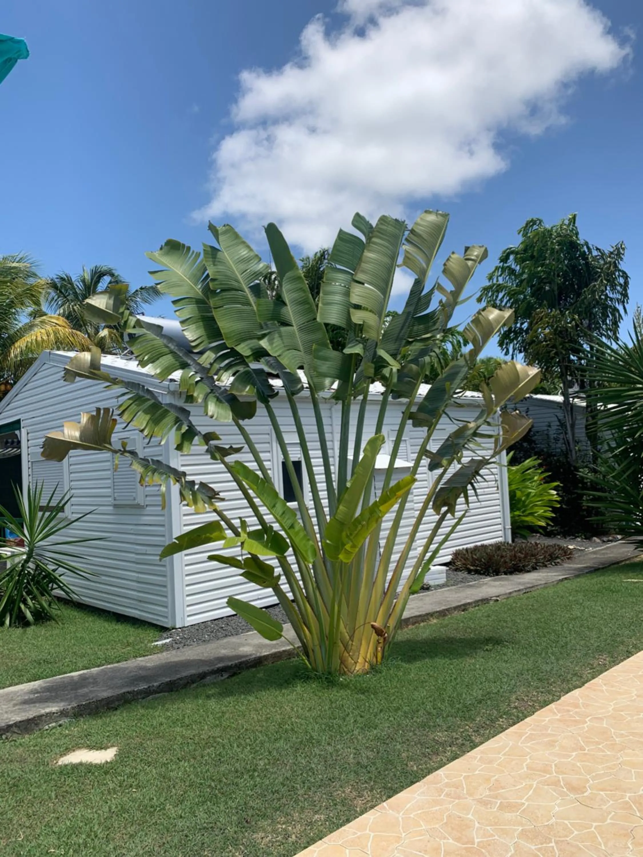 Gîte Ty Koko