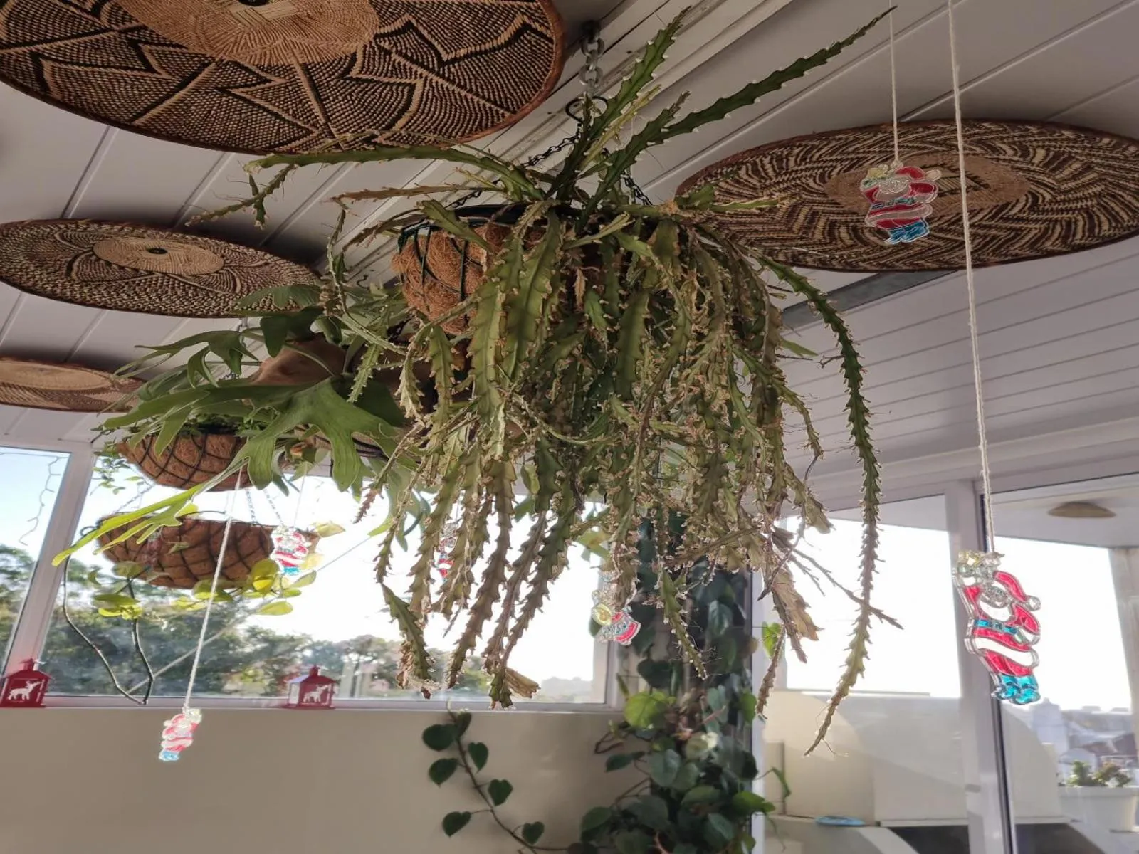 Decorative detail in Leeuwenzee Guesthouse