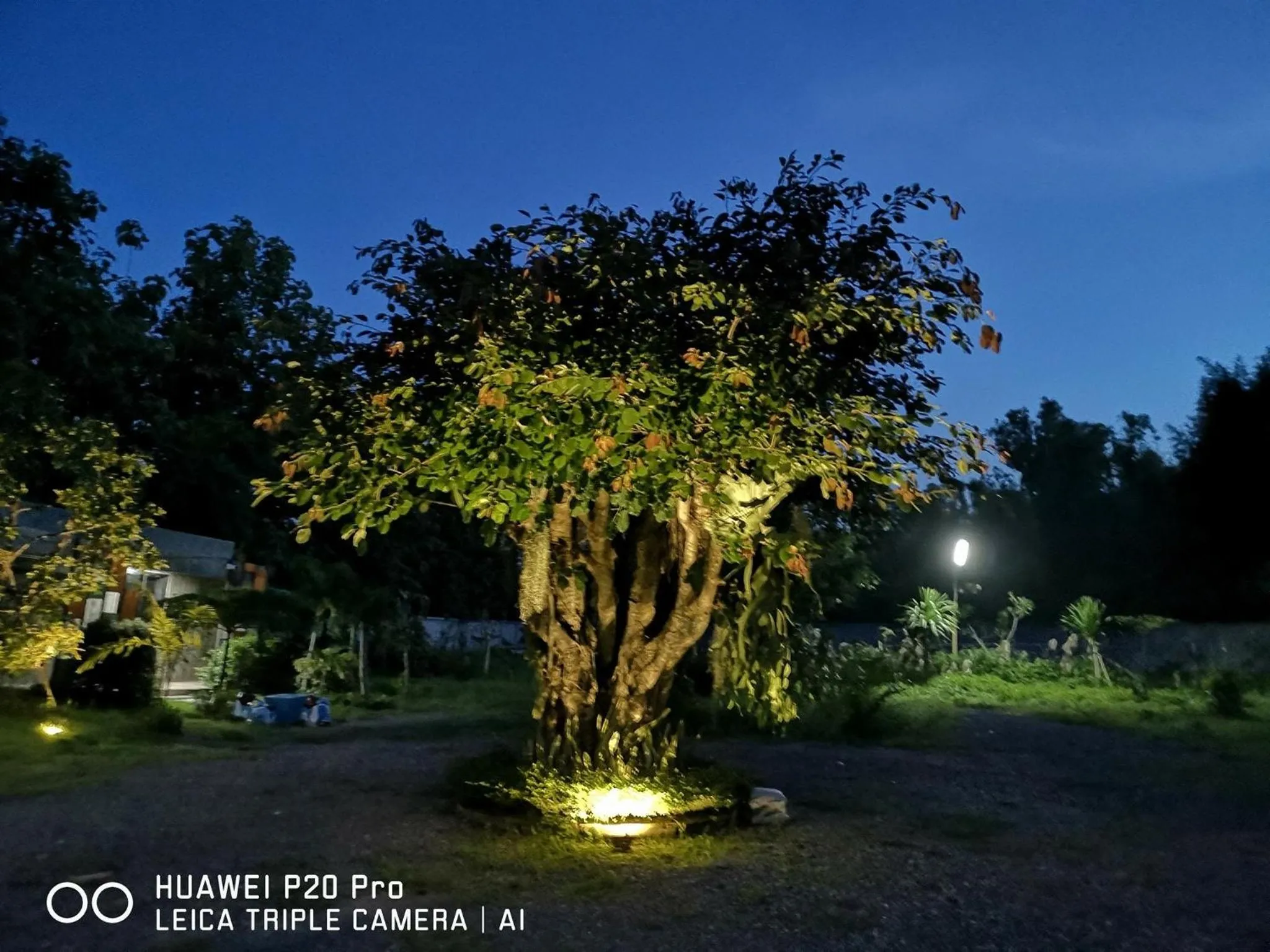 Property building in BR2 House Resort