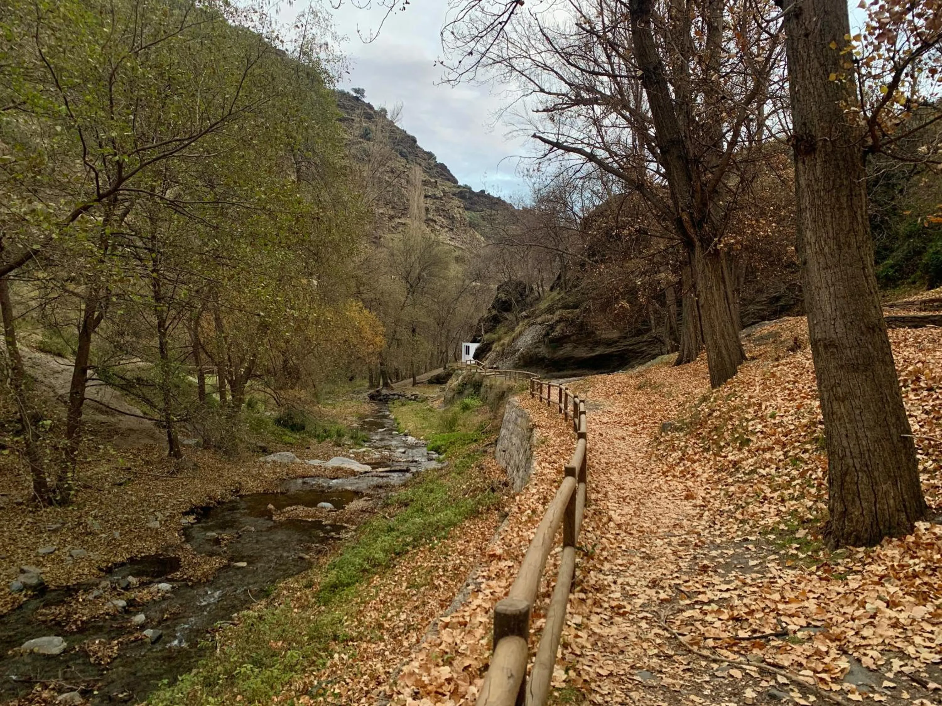 Neighbourhood in Hotel los Bérchules