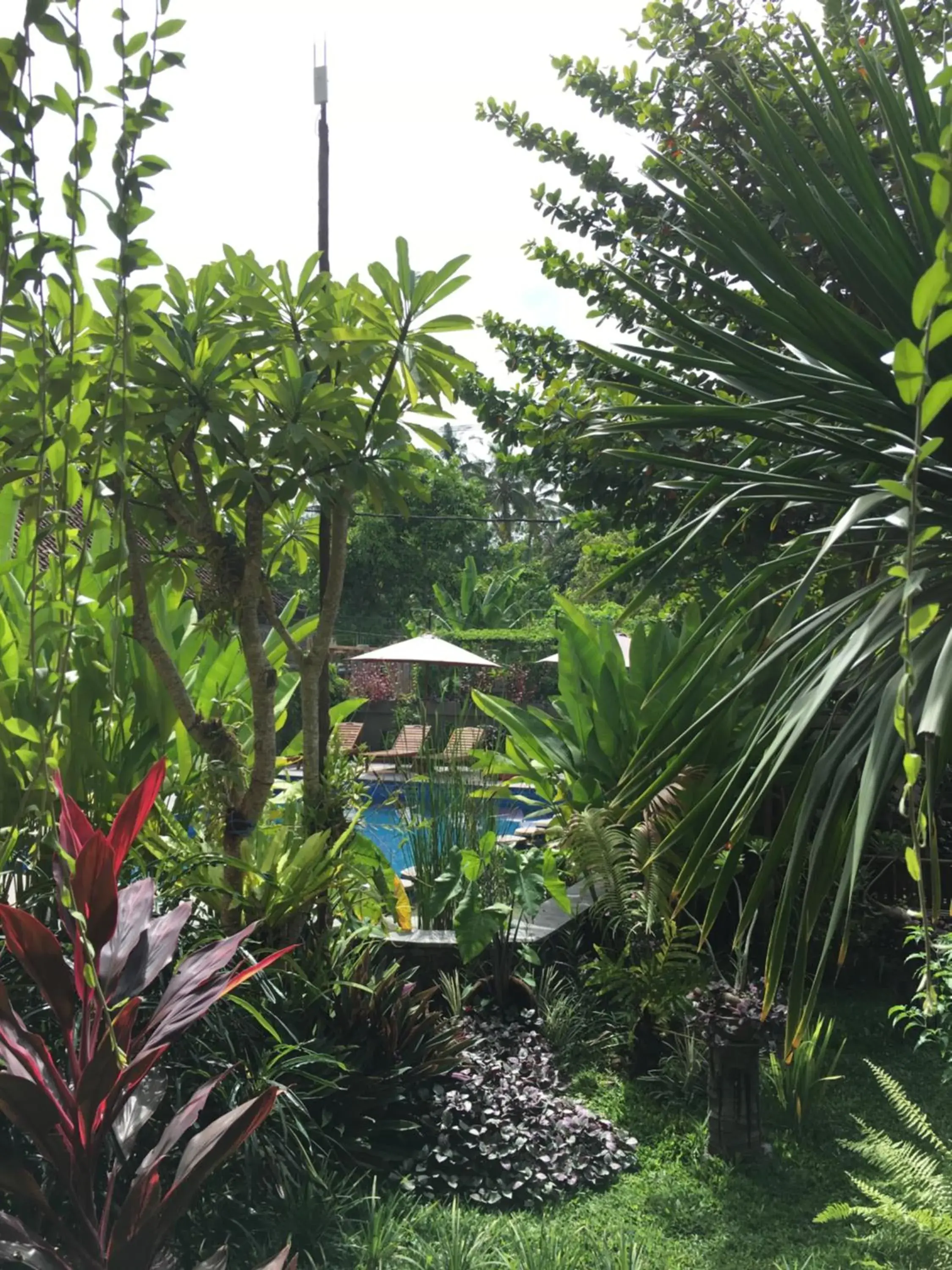 Deluxe Double or Twin Room with Garden View in Saka Boutique Hotel Deluxe Double or Twin Room with Garden View in Saka Boutique Hotel