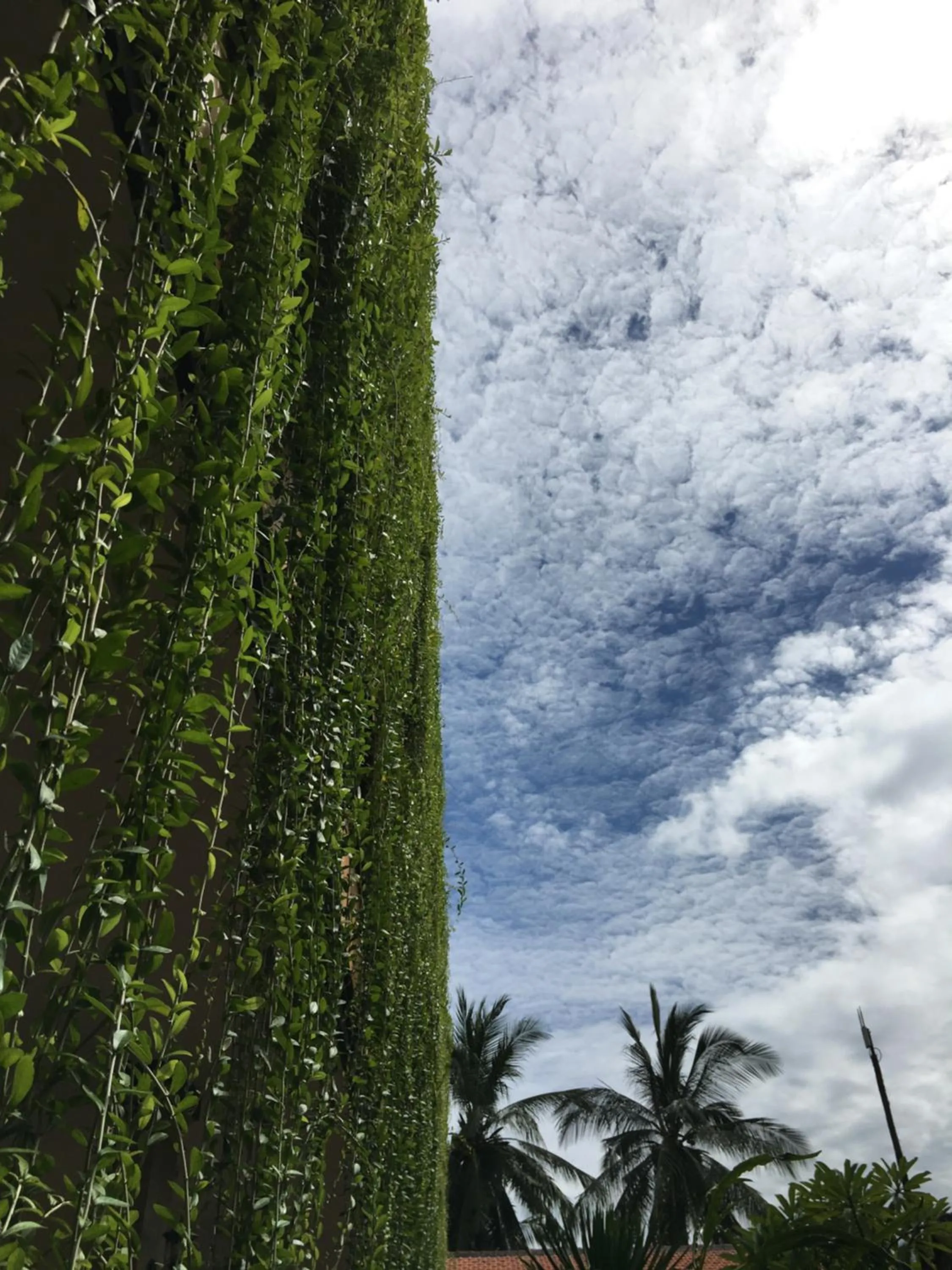 Natural landscape in Saka Boutique Hotel