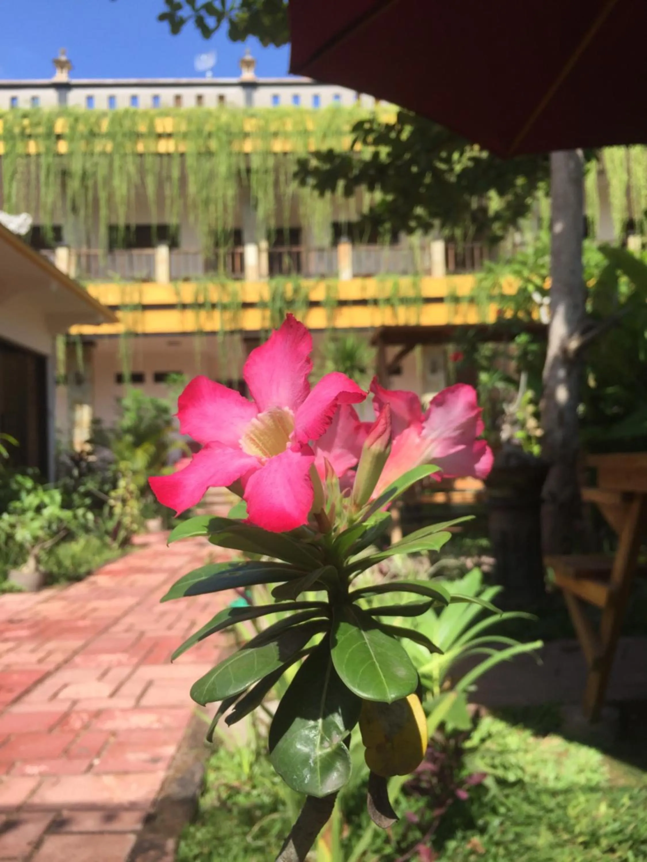 Property building in Saka Boutique Hotel