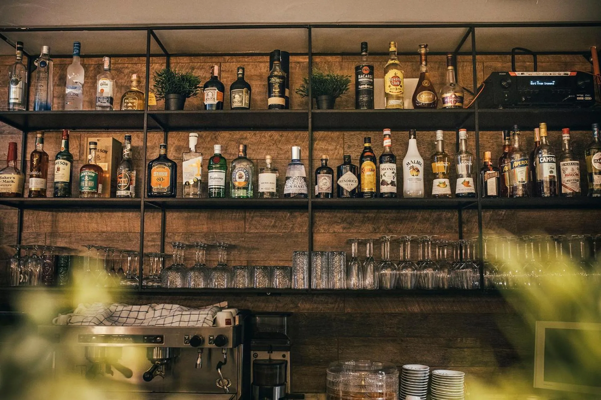 Lounge or bar in Hotel Plaza