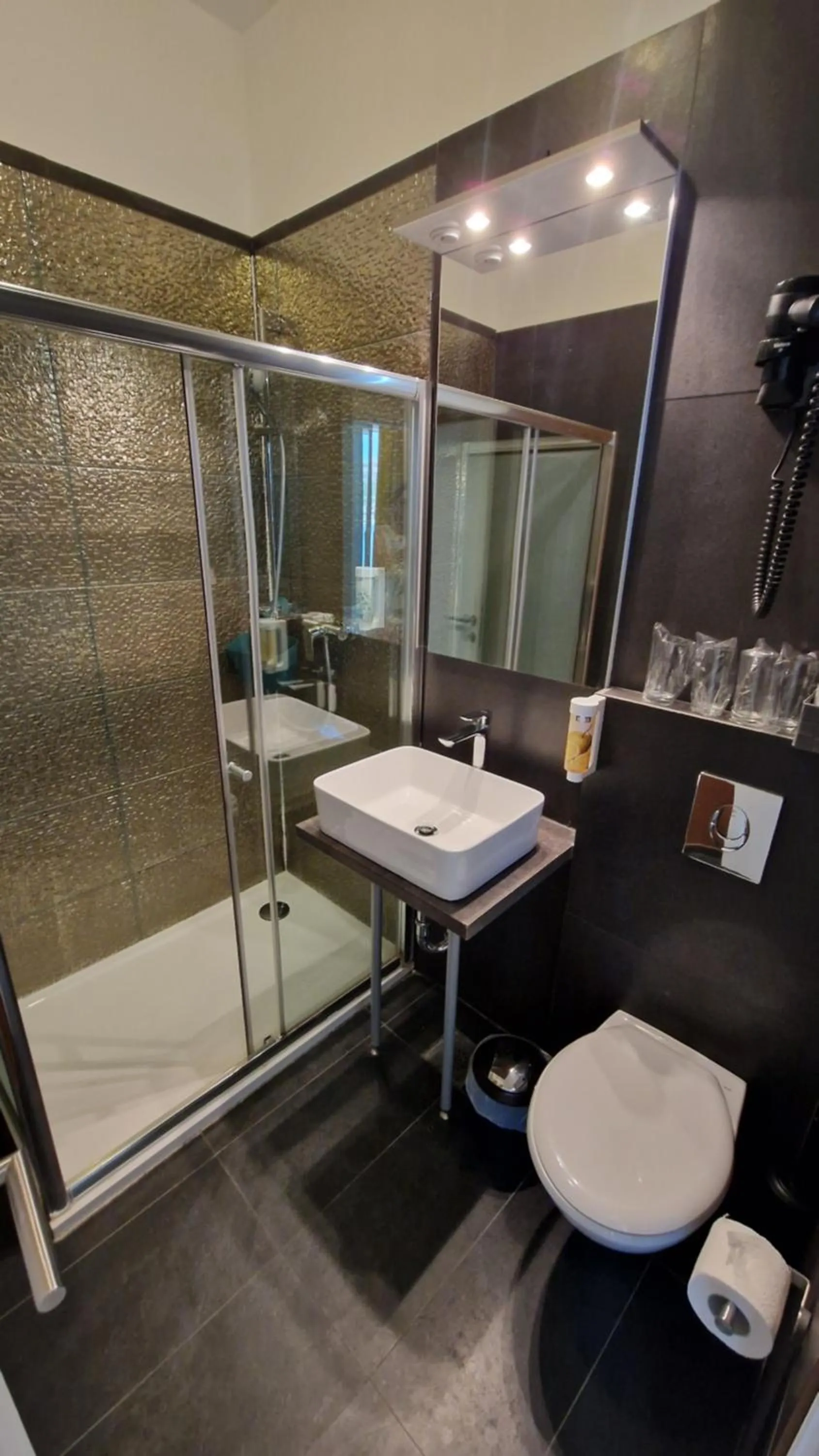 Shower in Hotel Plaza