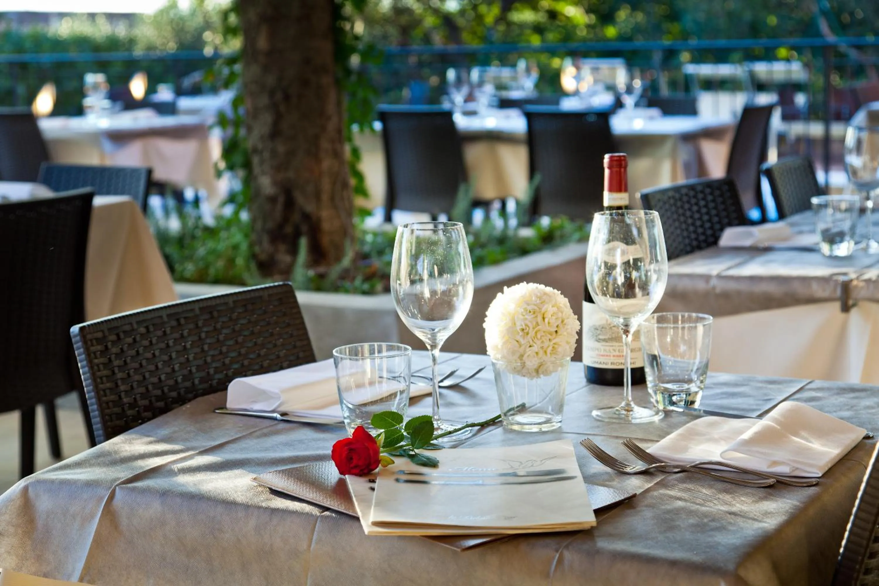 Restaurant/places to eat in Hotel La Palomba