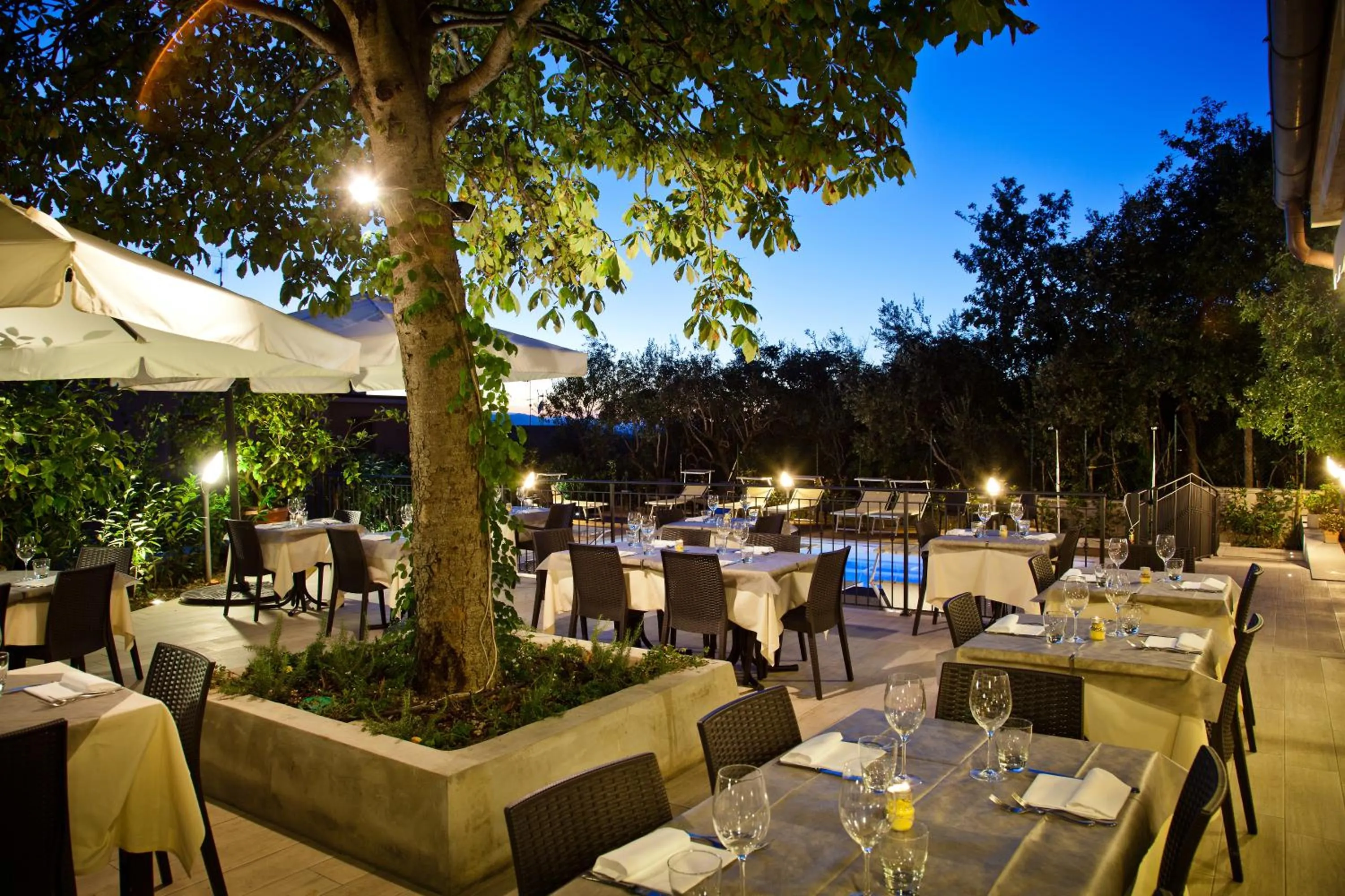Garden in Hotel La Palomba