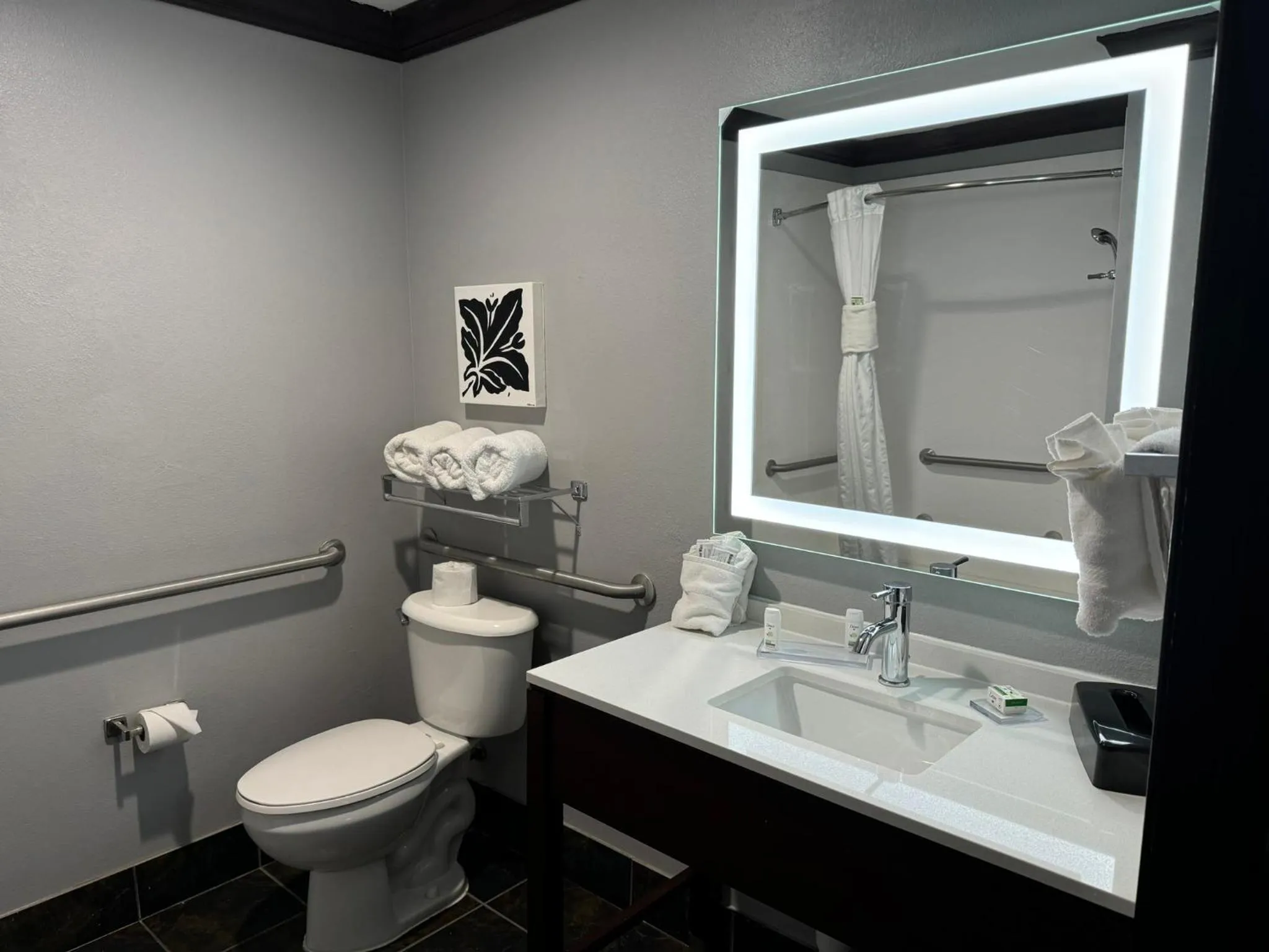 Toilet in Hawthorn Suites by Wyndham Lubbock