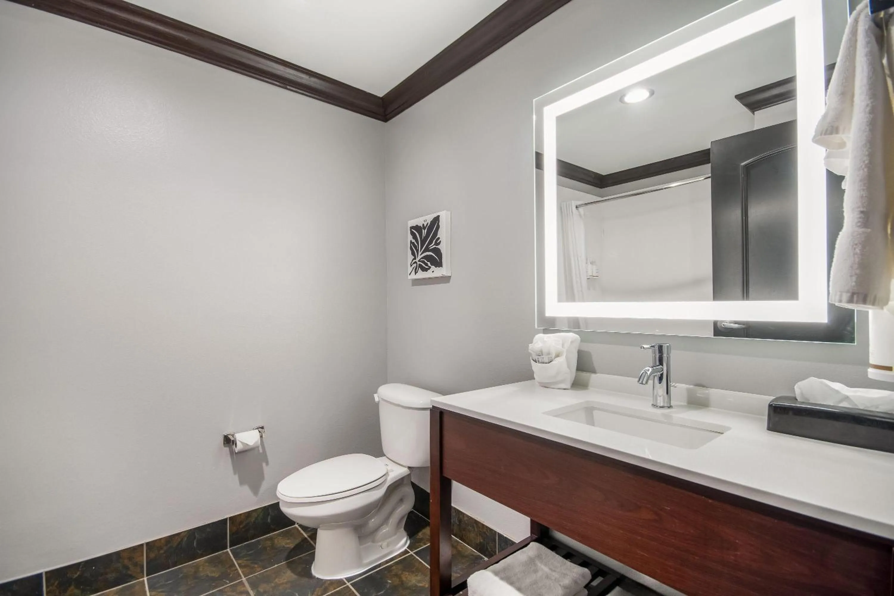 Bathroom in Hawthorn Suites by Wyndham Lubbock