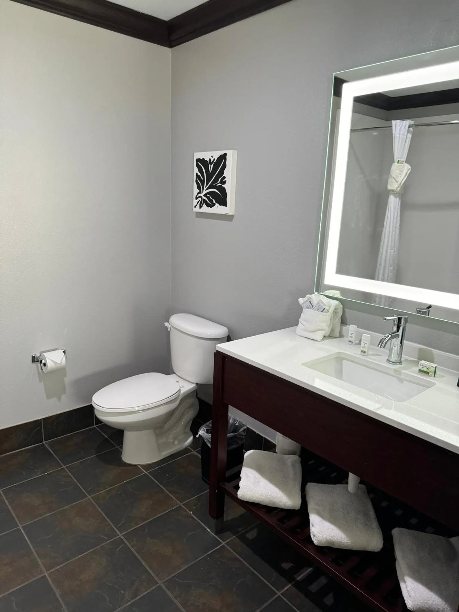 Toilet in Hawthorn Suites by Wyndham Lubbock