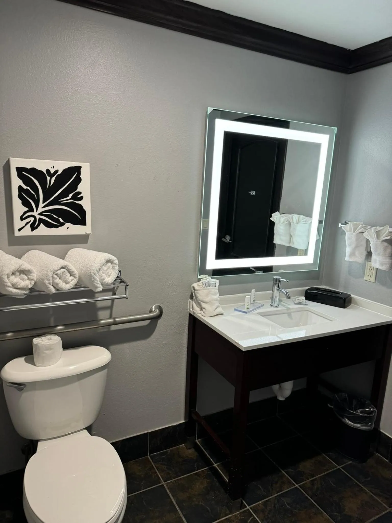 Toilet in Hawthorn Suites by Wyndham Lubbock