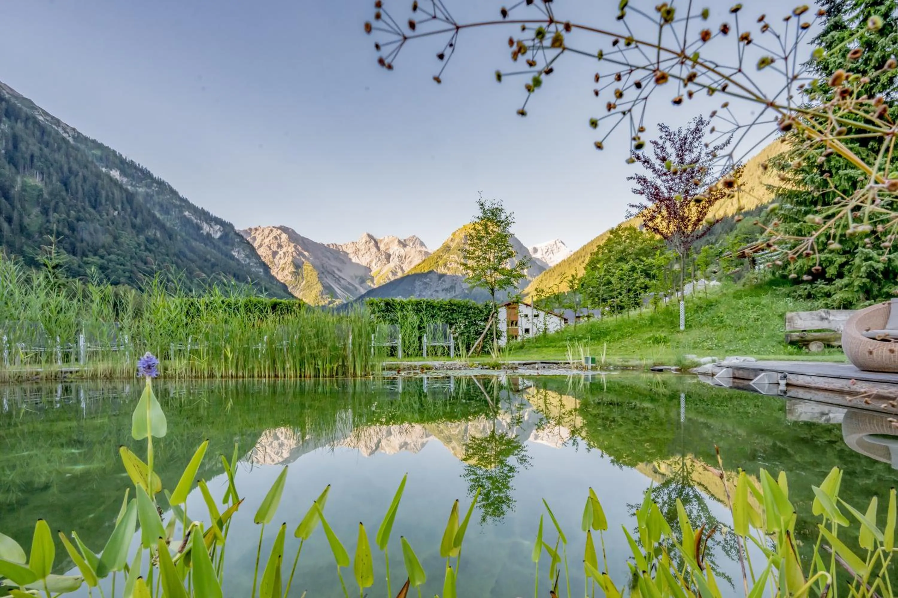 Garden in Alpenhotel Zimba
