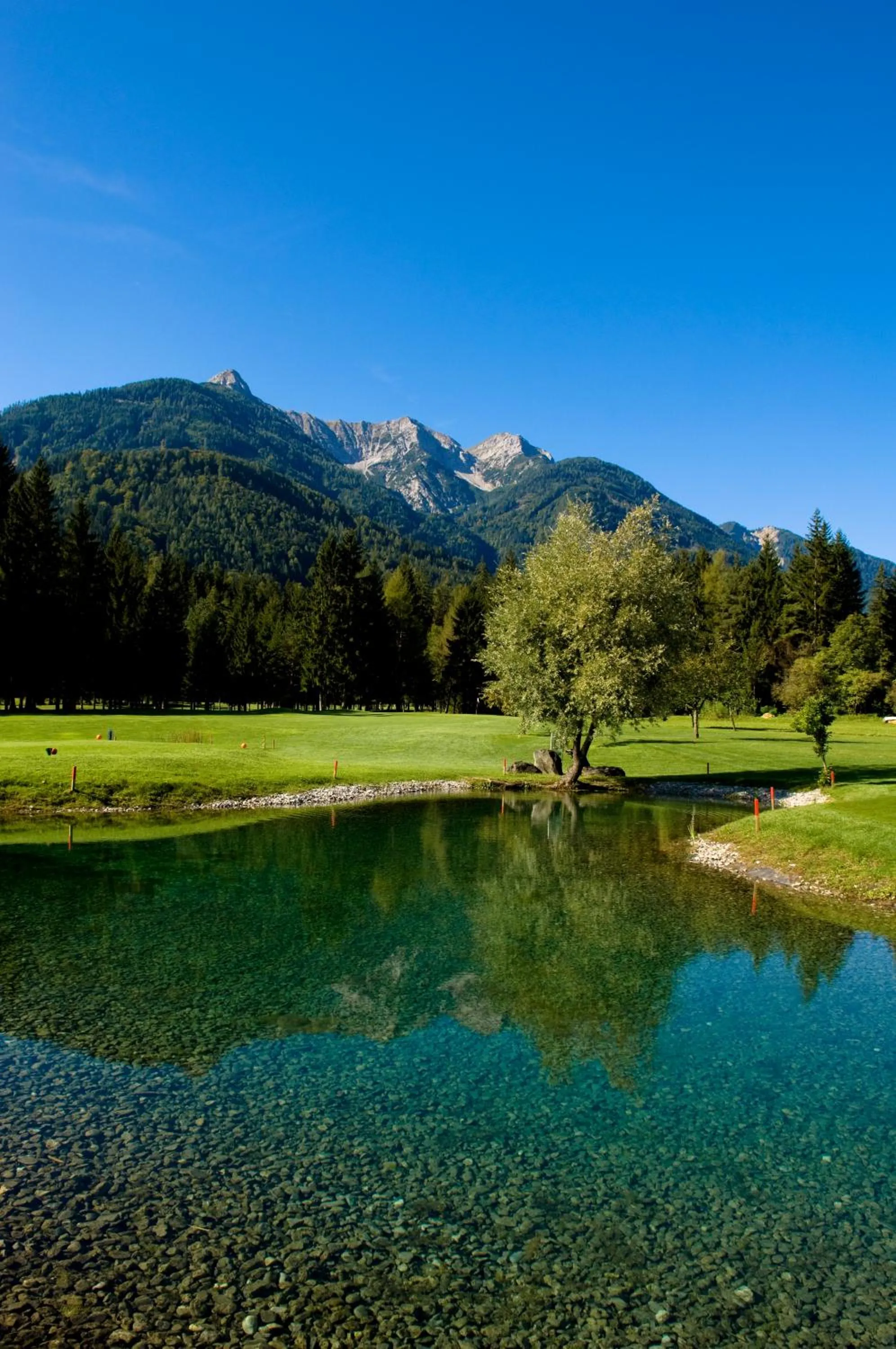 Spring in Waldpension Putz