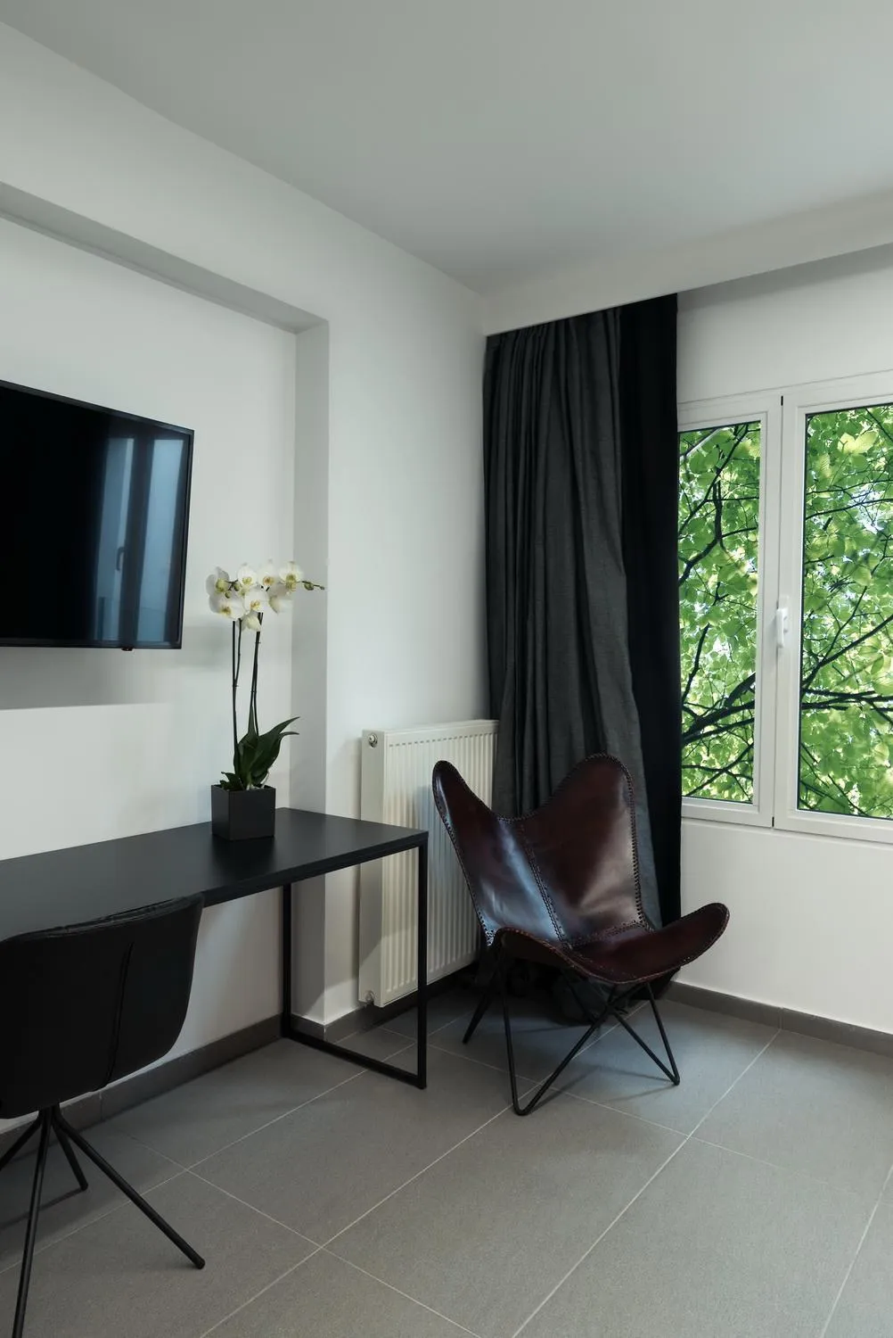 TV and multimedia in Sir Athens