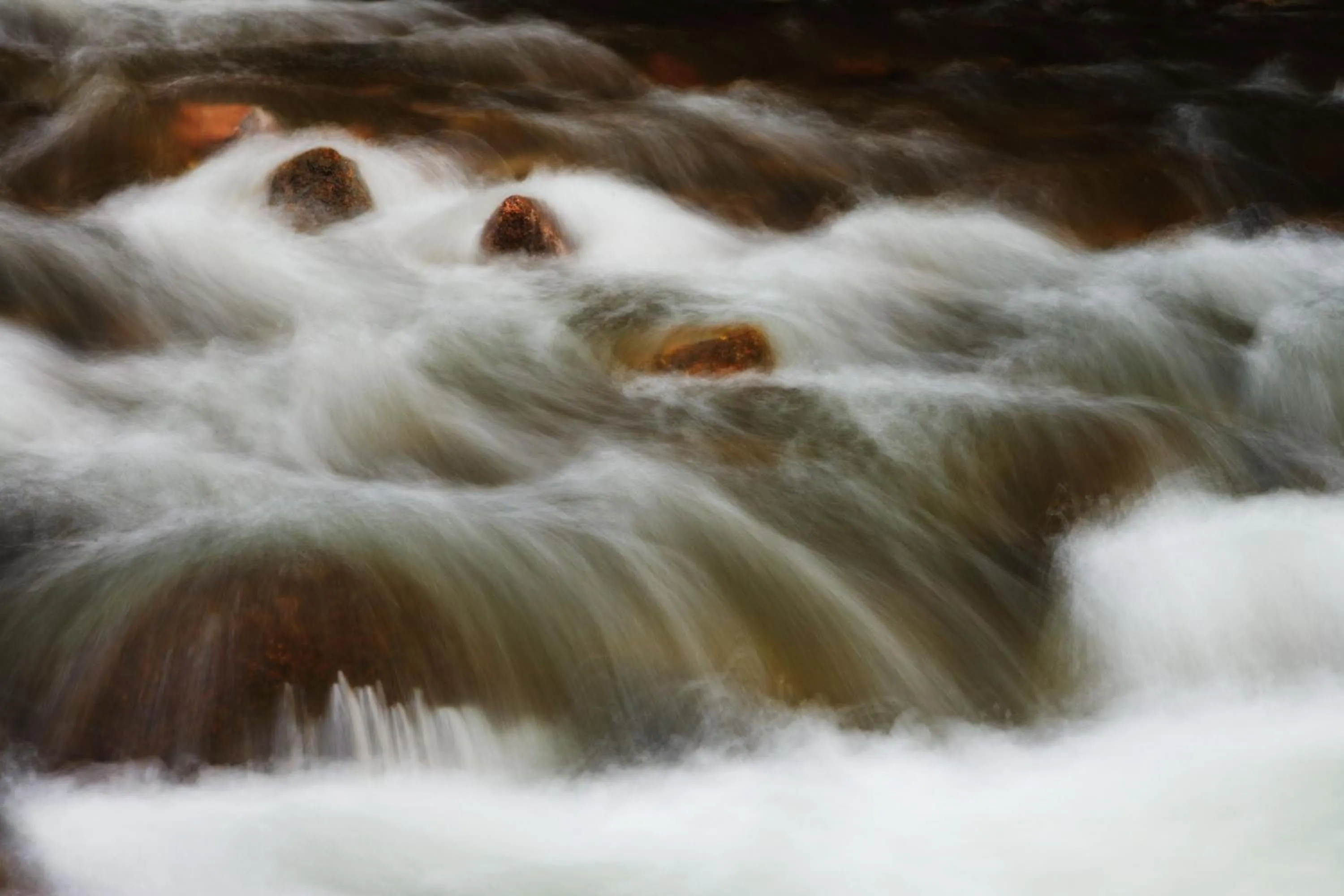 Area and facilities in Vail Racquet Club Mountain Resort