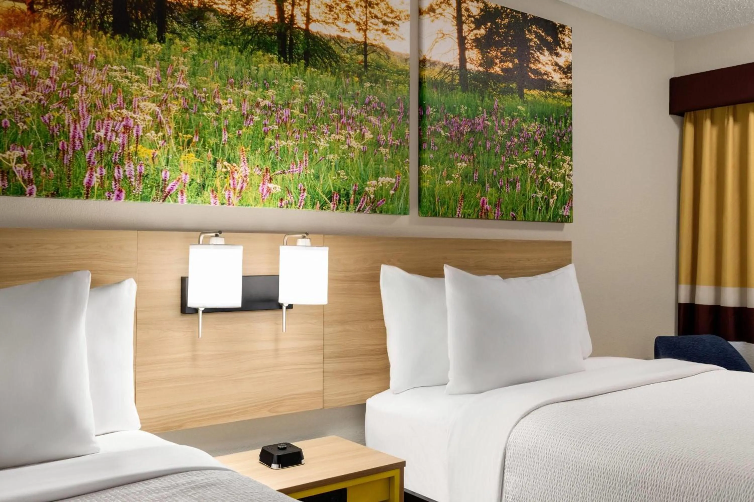 Photo of the whole room, Bed in Days Inn by Wyndham Cartersville