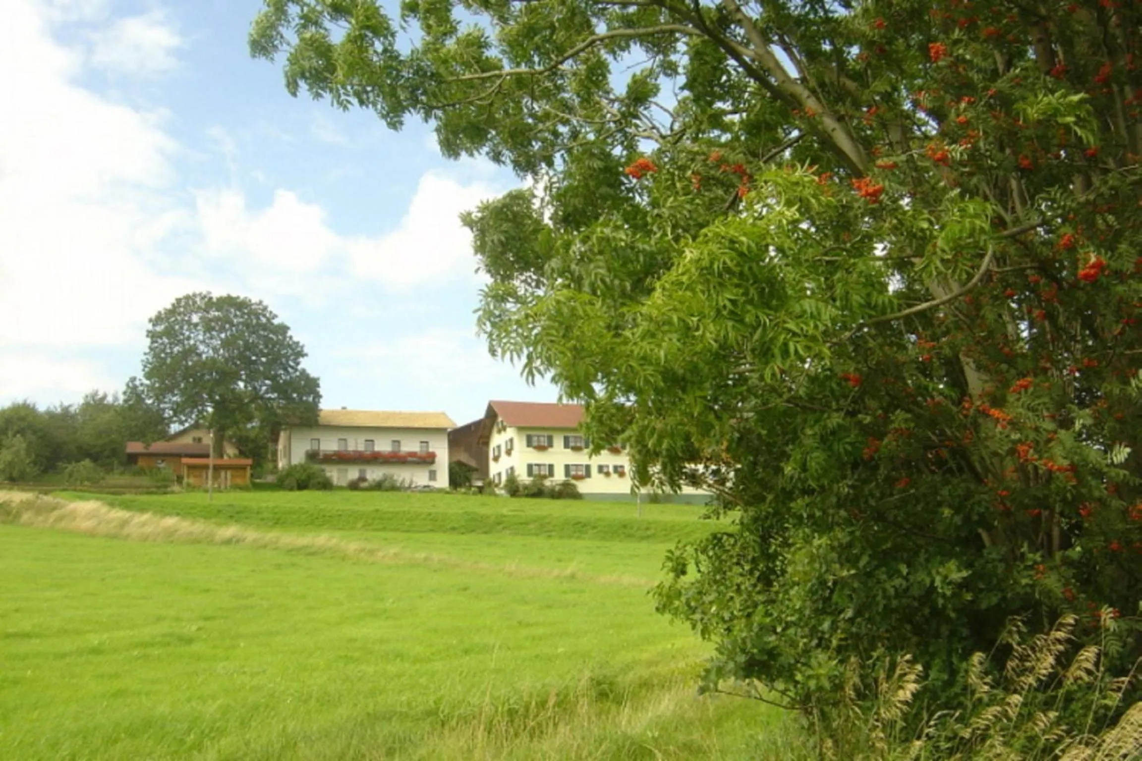 Birkenhof