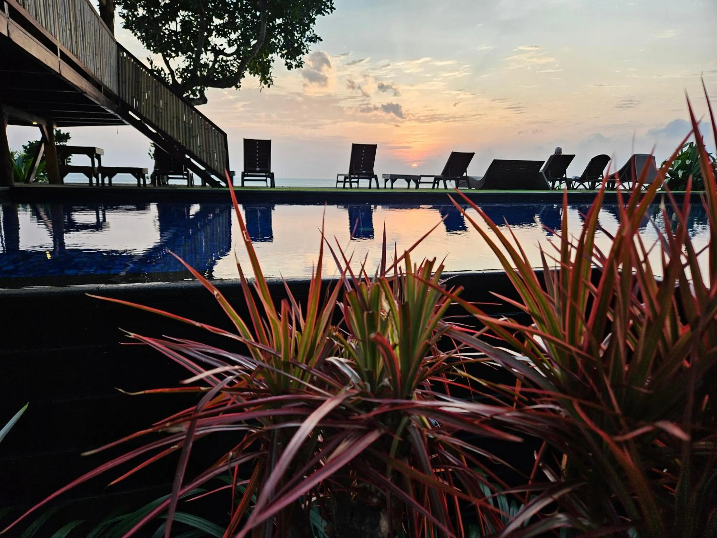 Restaurant/places to eat in Sunsethouse Lombok