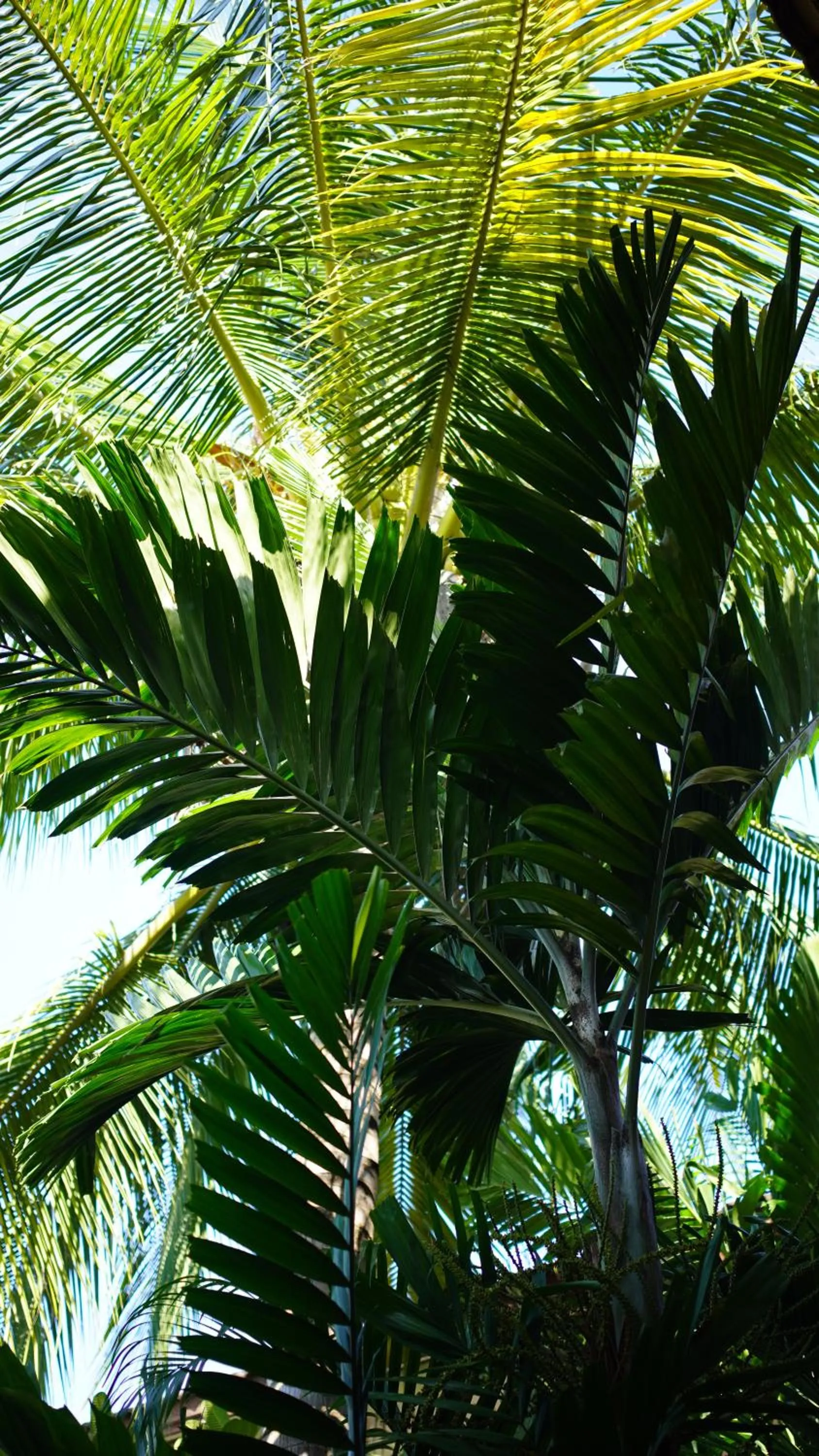 Natural landscape in Baan Pitcha บ้านพิชชา