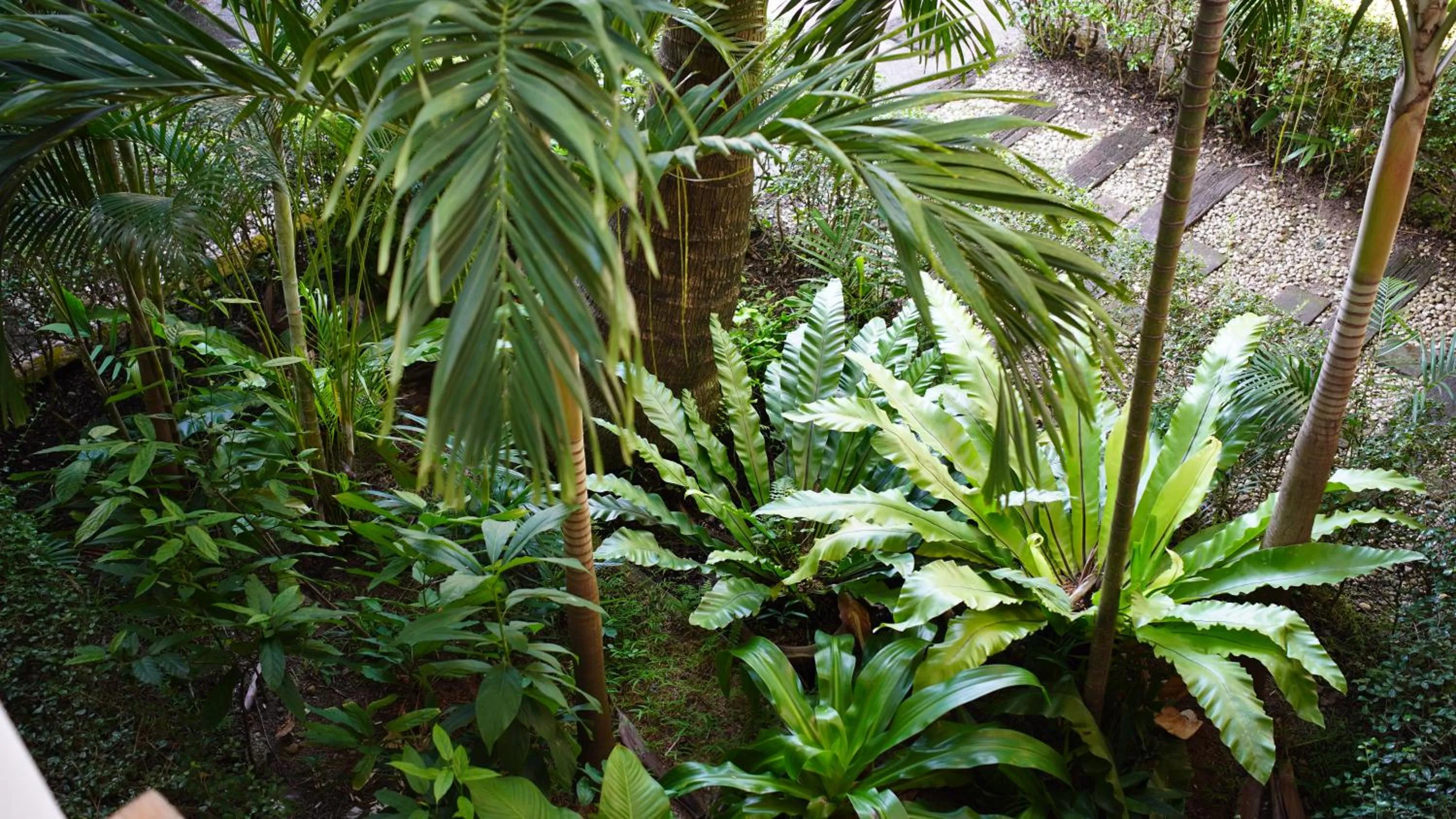 Property building in Baan Pitcha บ้านพิชชา