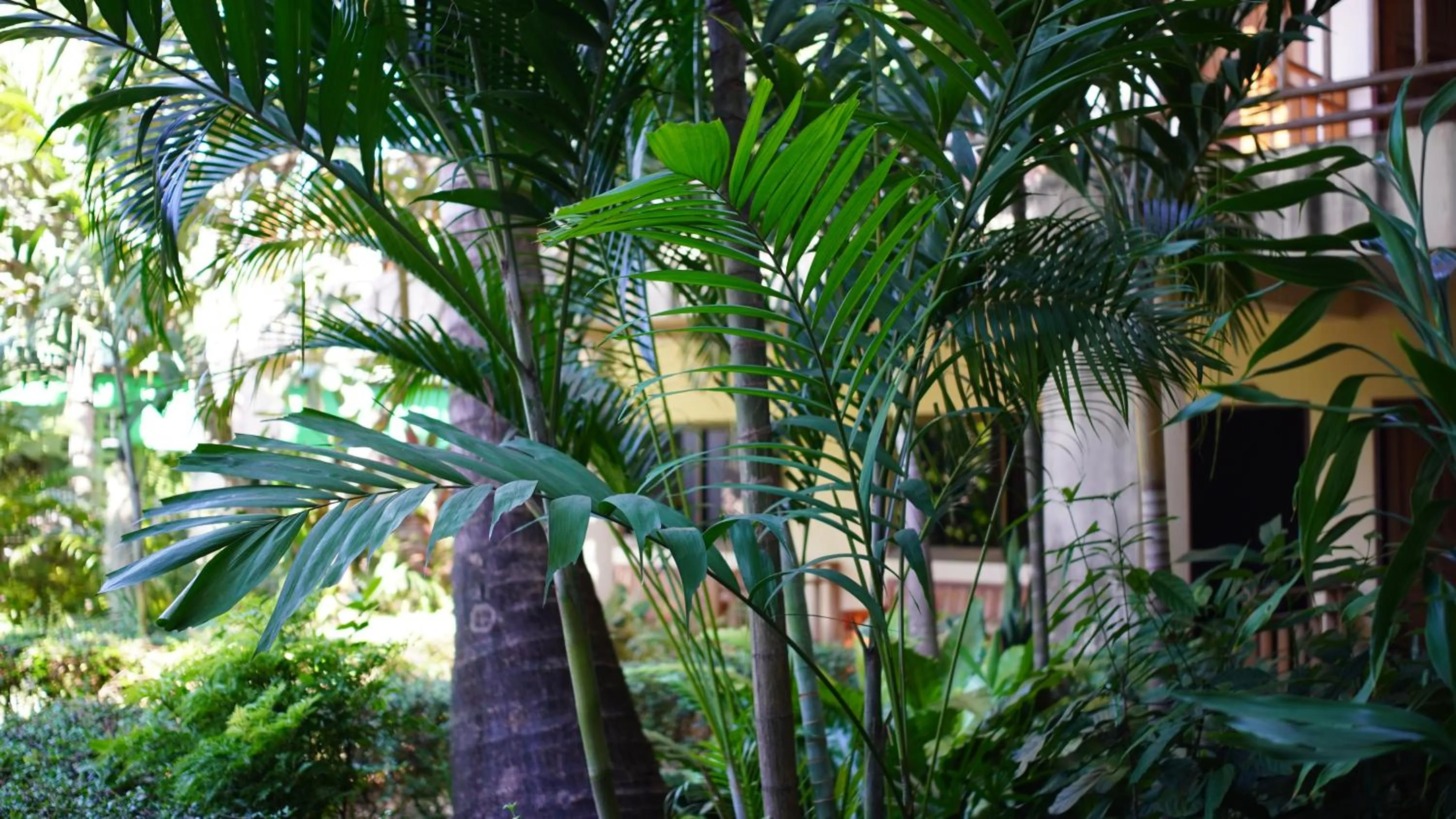 Property building in Baan Pitcha บ้านพิชชา