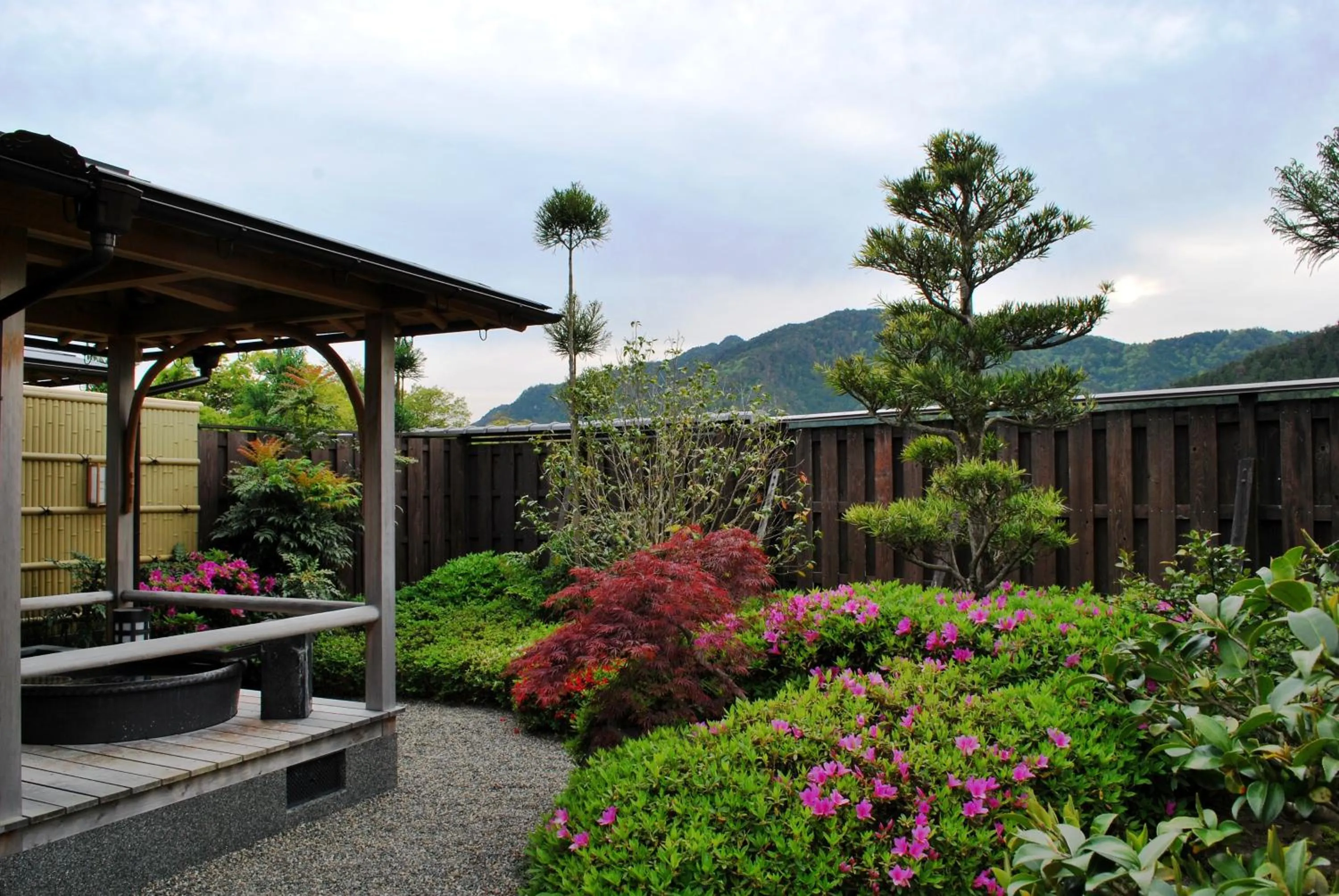 Garden view in Japanese Ryokan Seryo