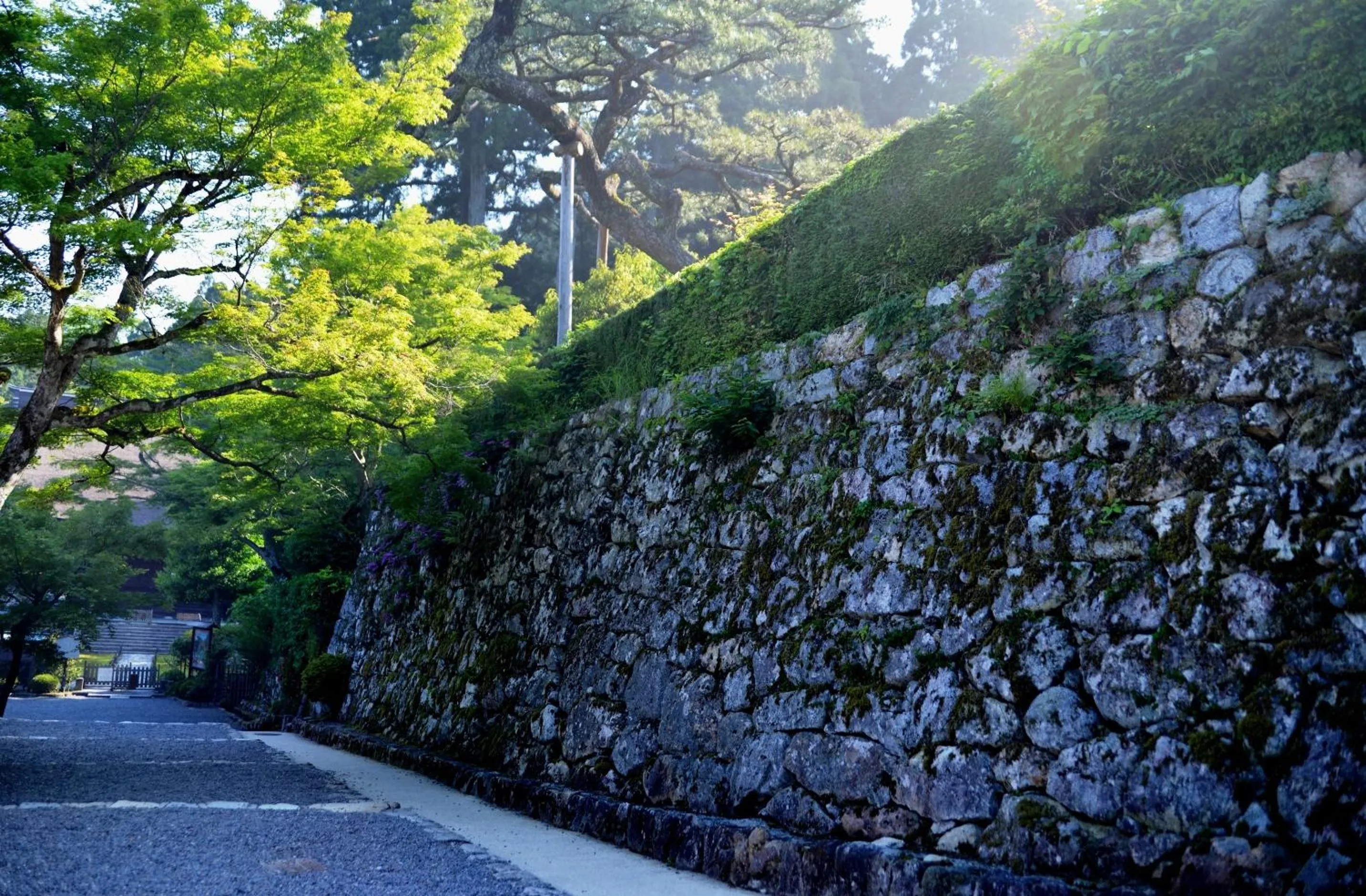 Off site in Japanese Ryokan Seryo