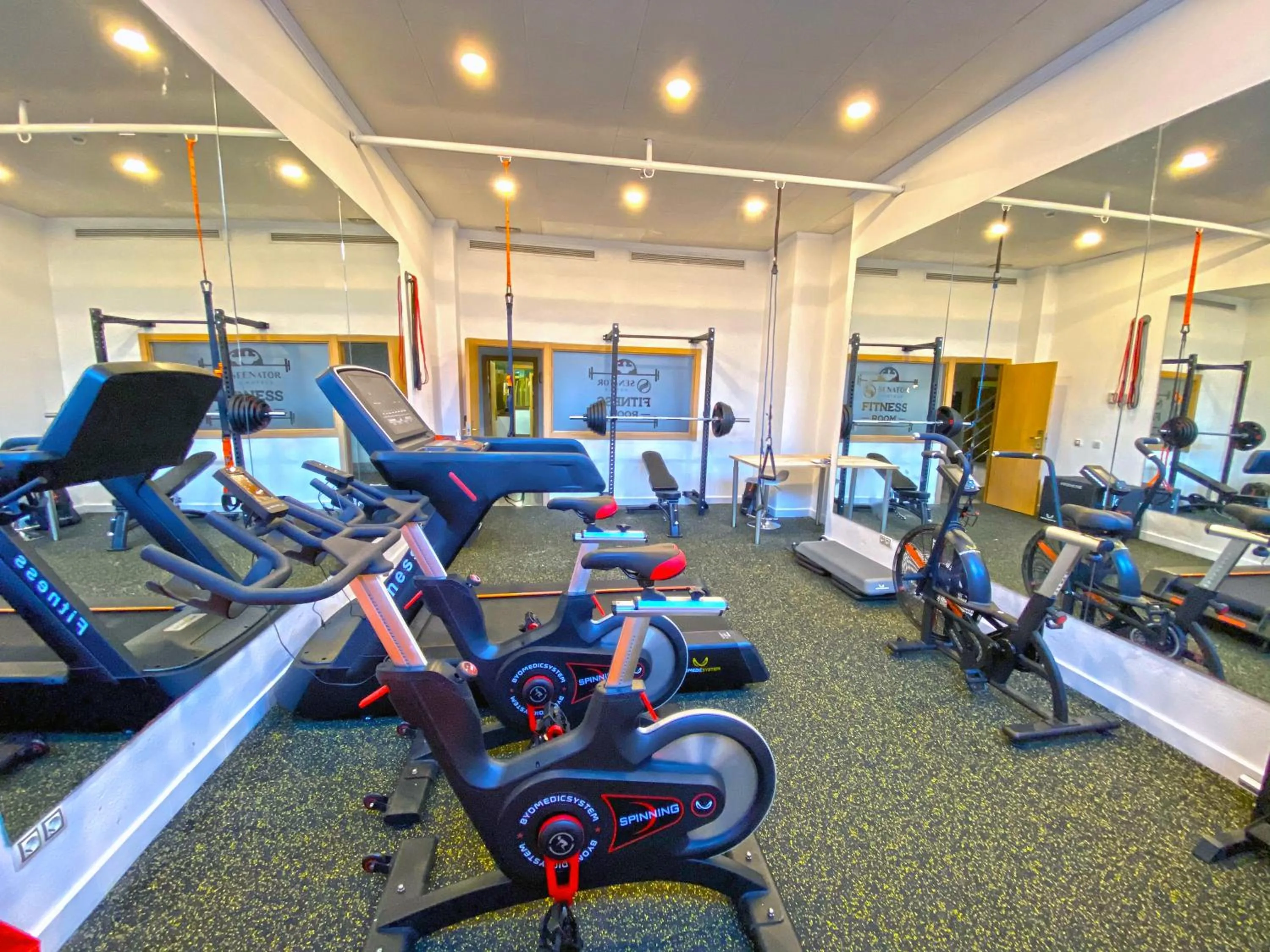 Fitness centre/facilities in Senator Marbella