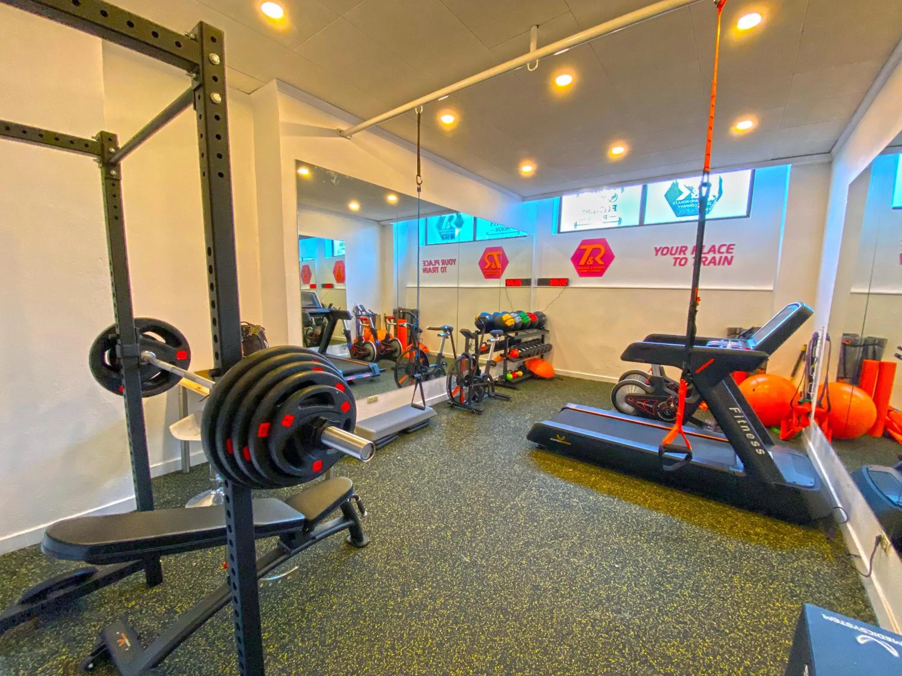 Fitness centre/facilities in Senator Marbella