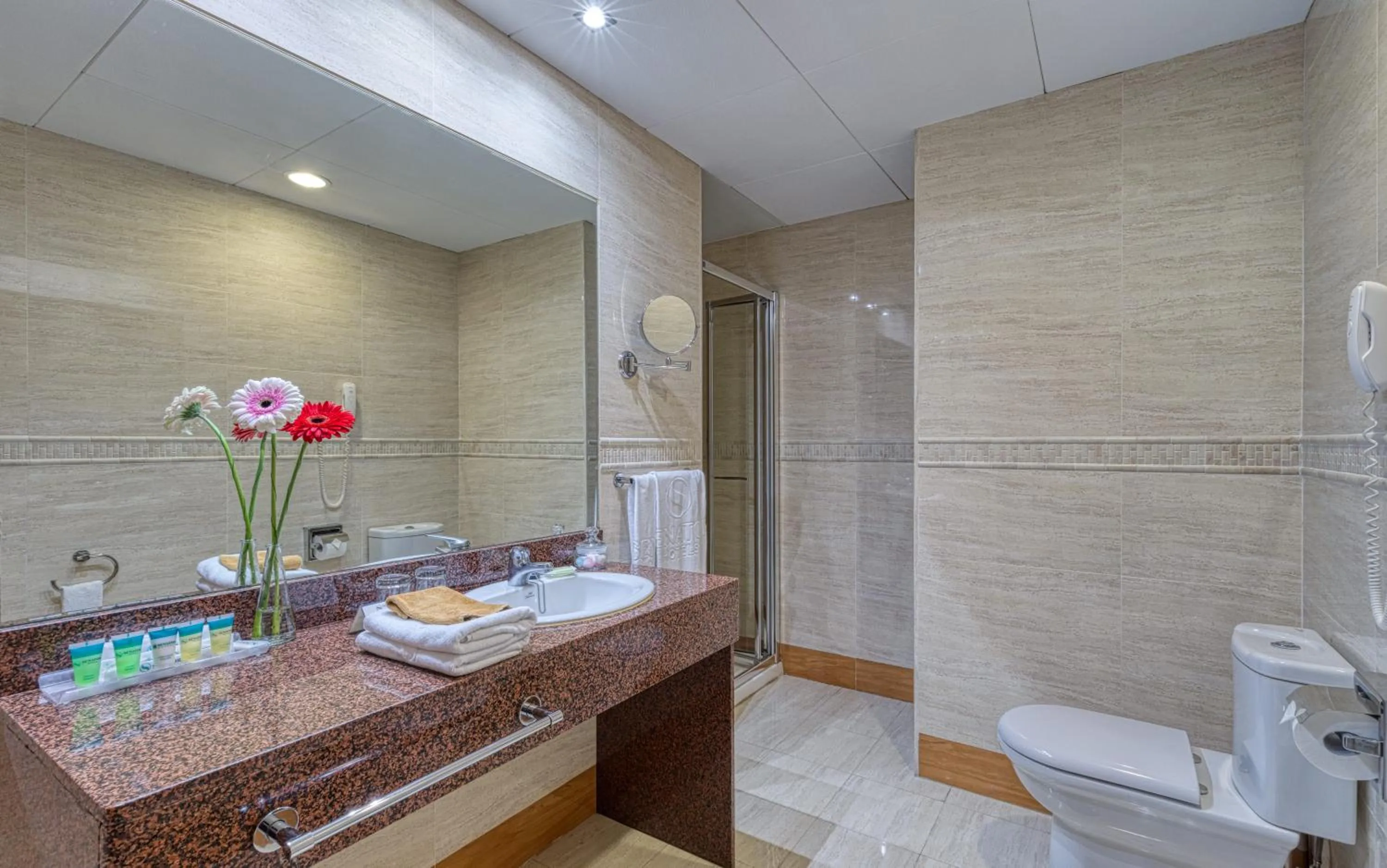 Toilet in Senator Marbella