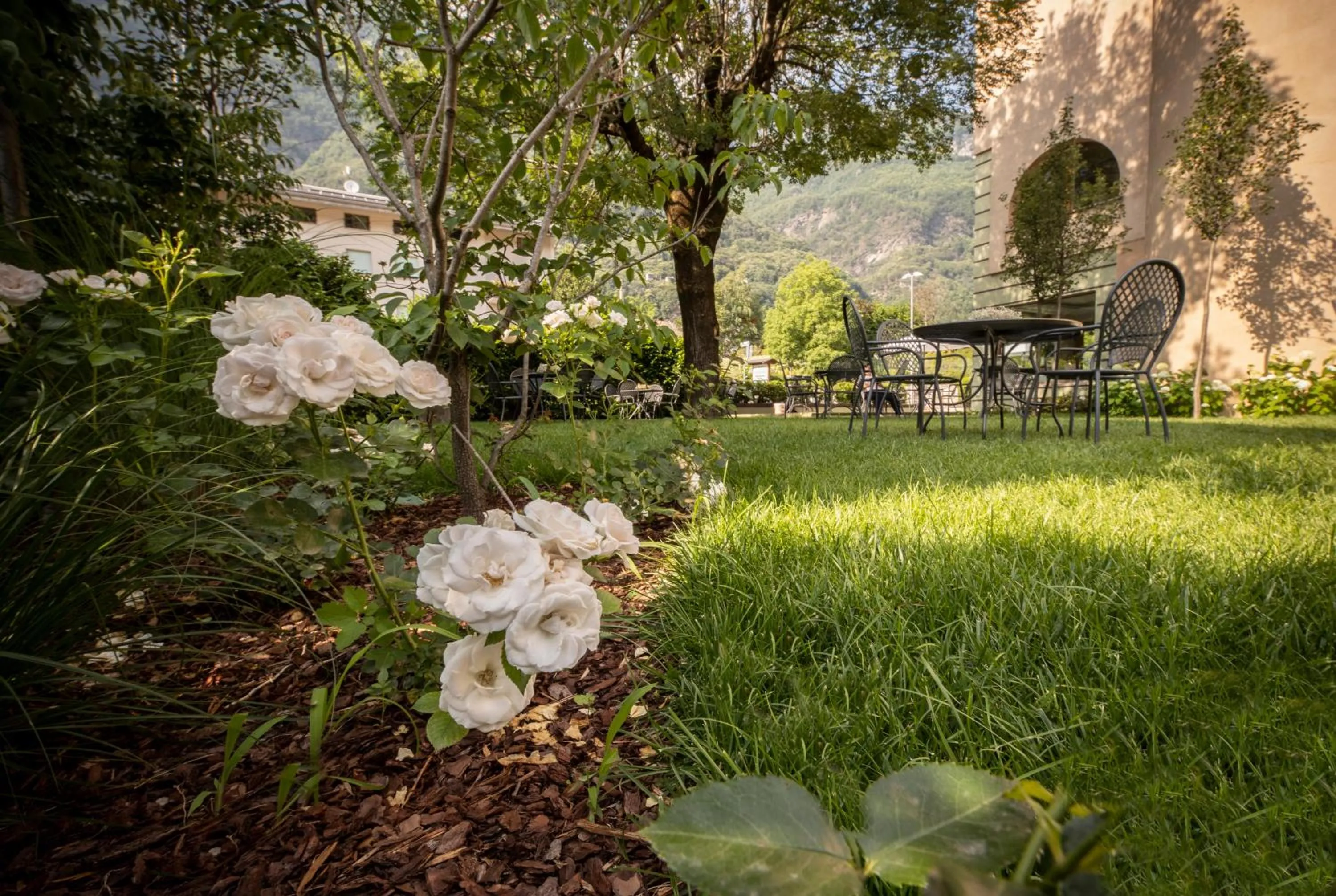 Garden in Hotel Piuro