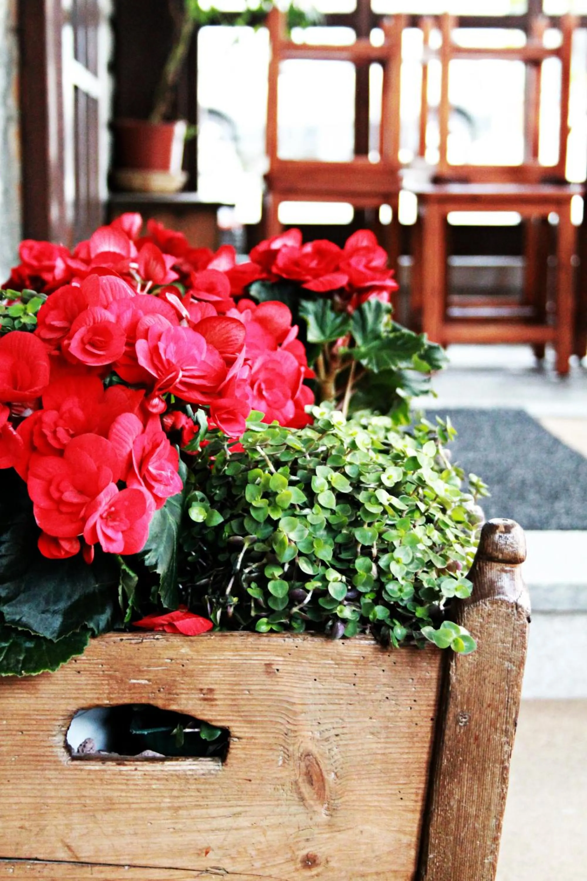 Decorative detail in Albergo K2
