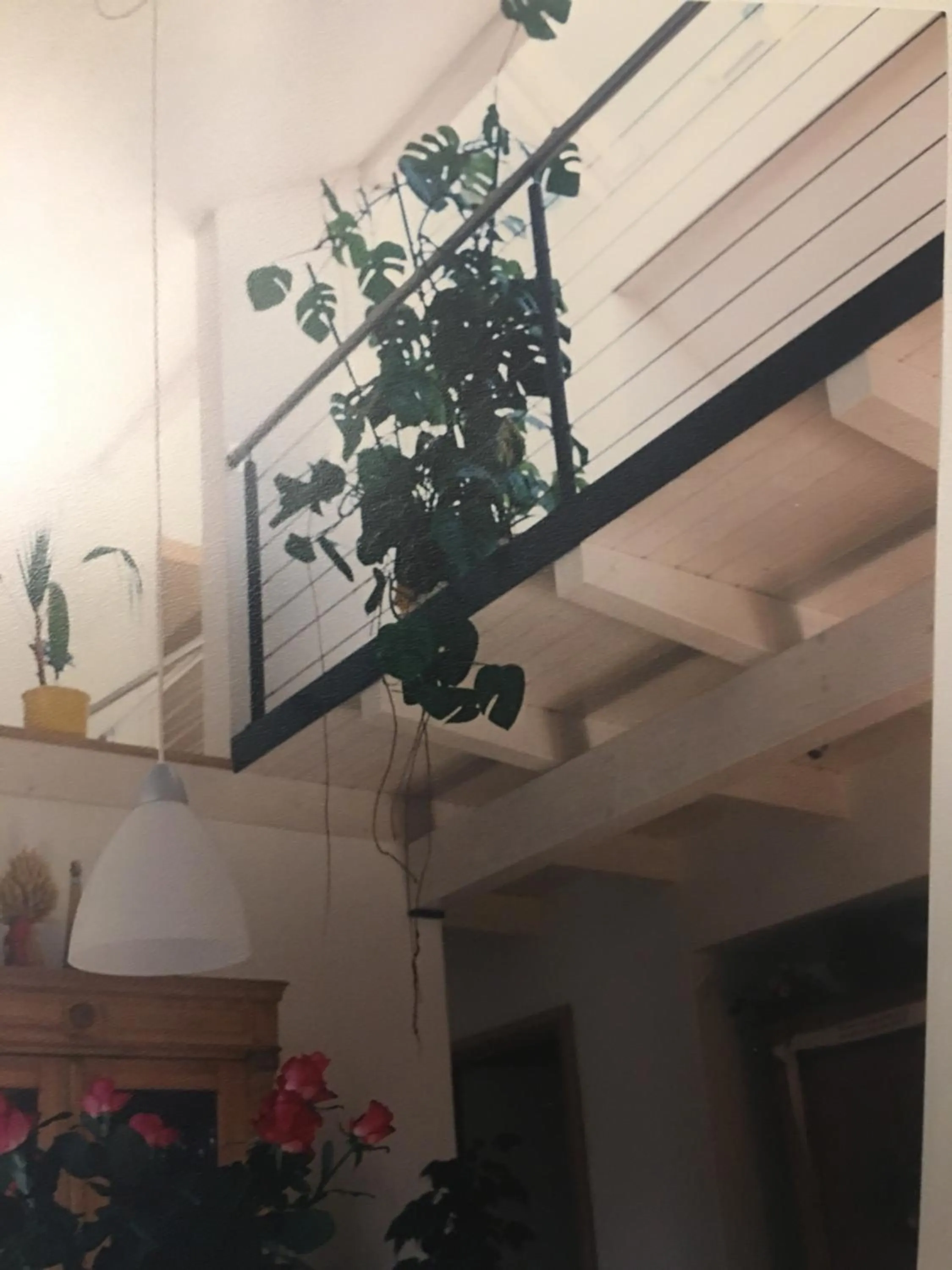 Gästehaus/FeWos/Boardinghaus Lüneburg Süd