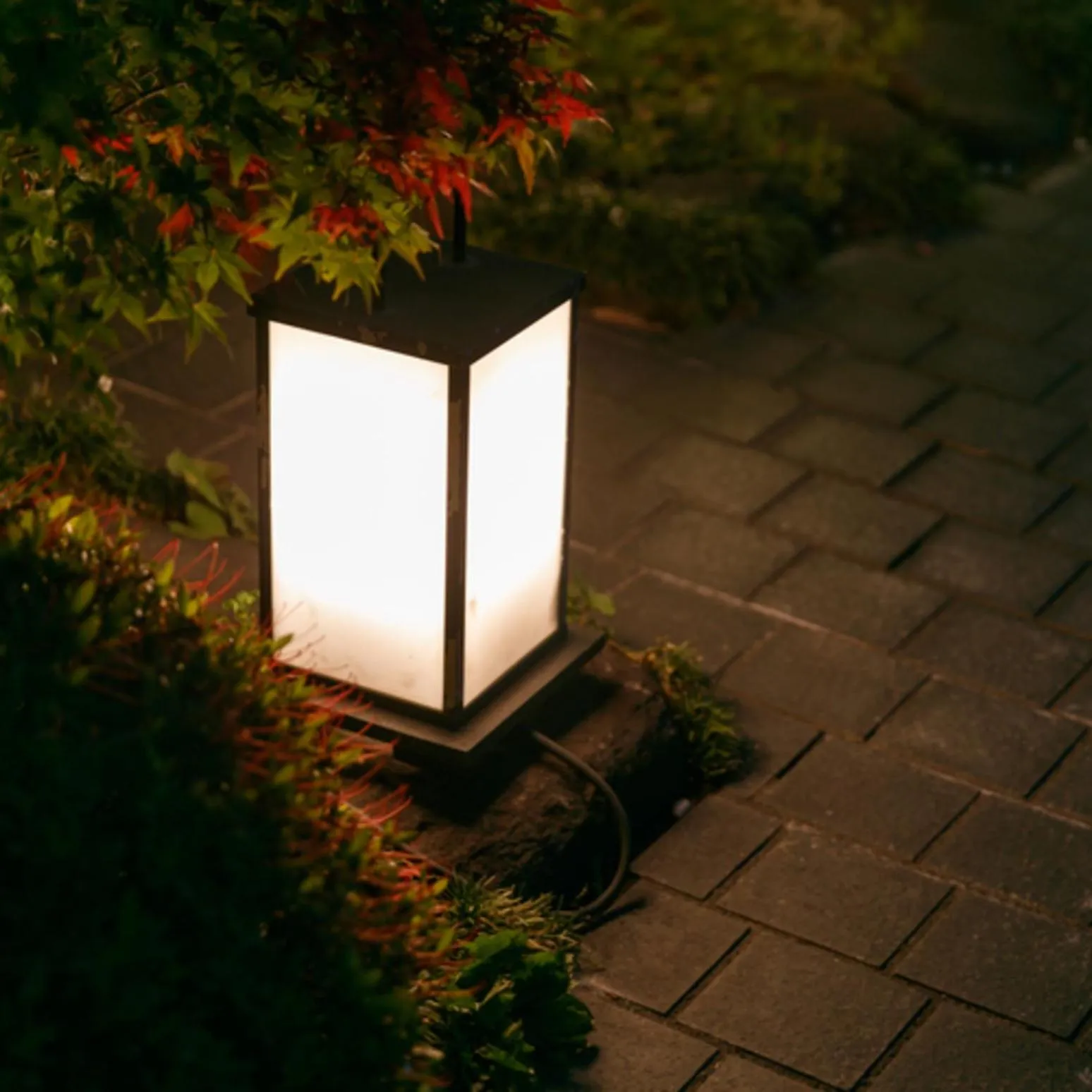 Night in Umemura Ryokan Uguisutei