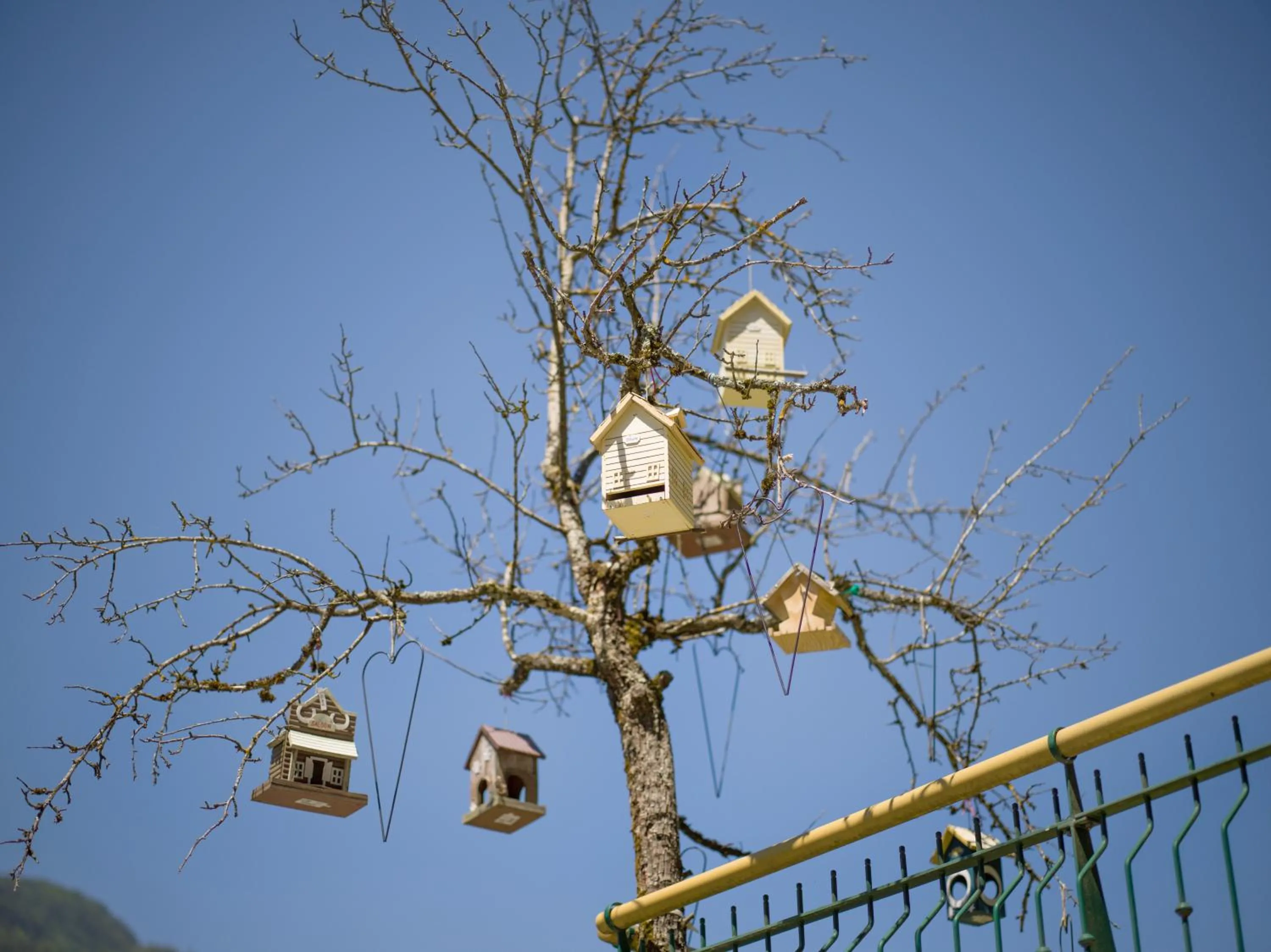 Property building in Aparthotel Gallahaus