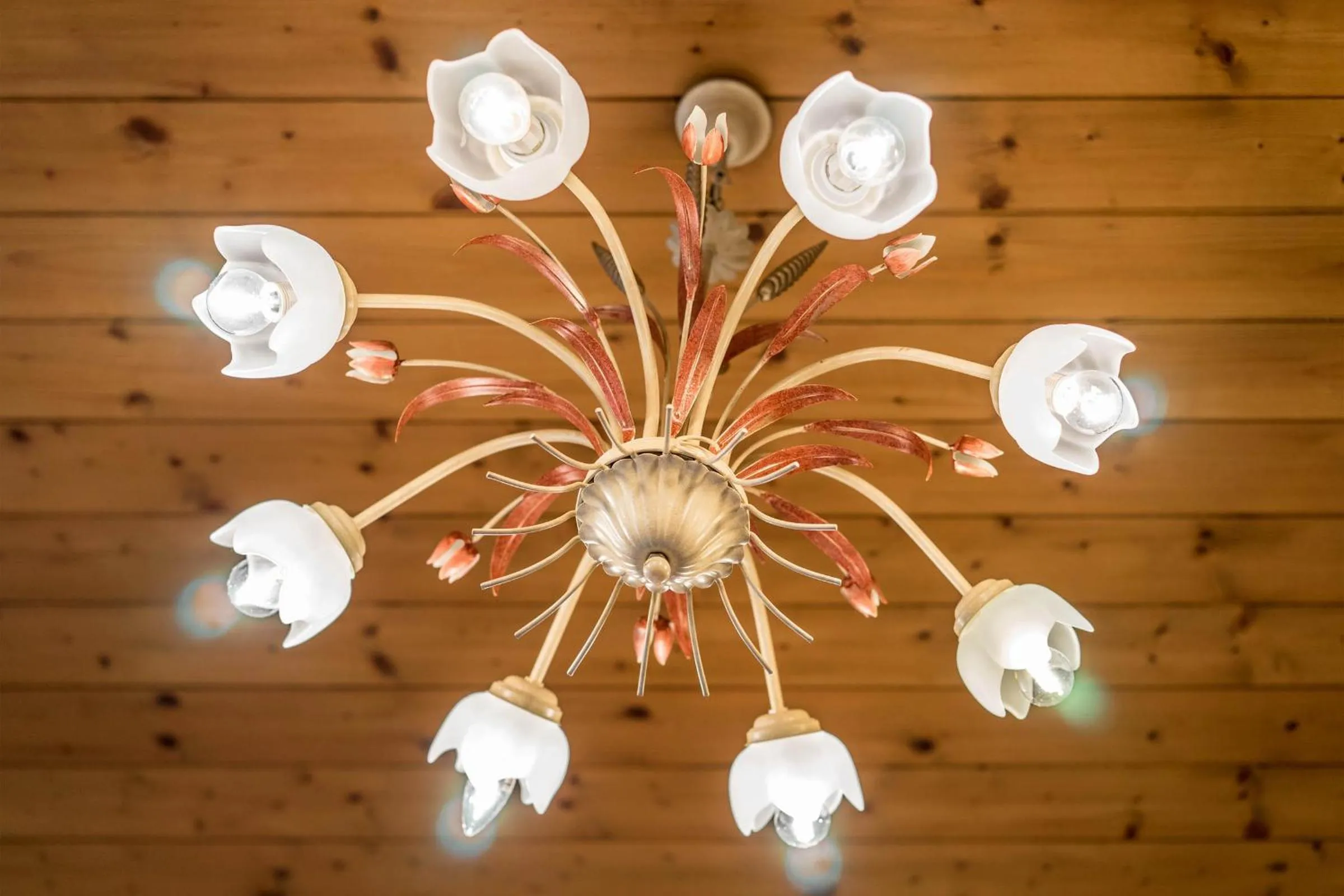 Decorative detail in Aparthotel Gallahaus