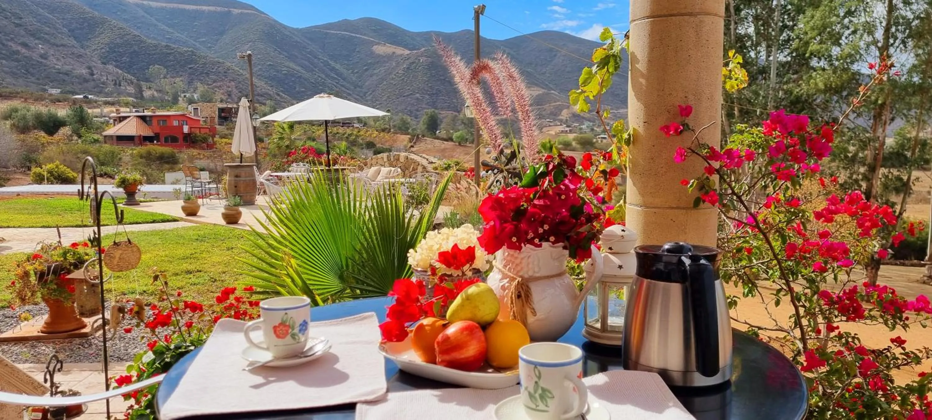 Garden in Viña Calabria