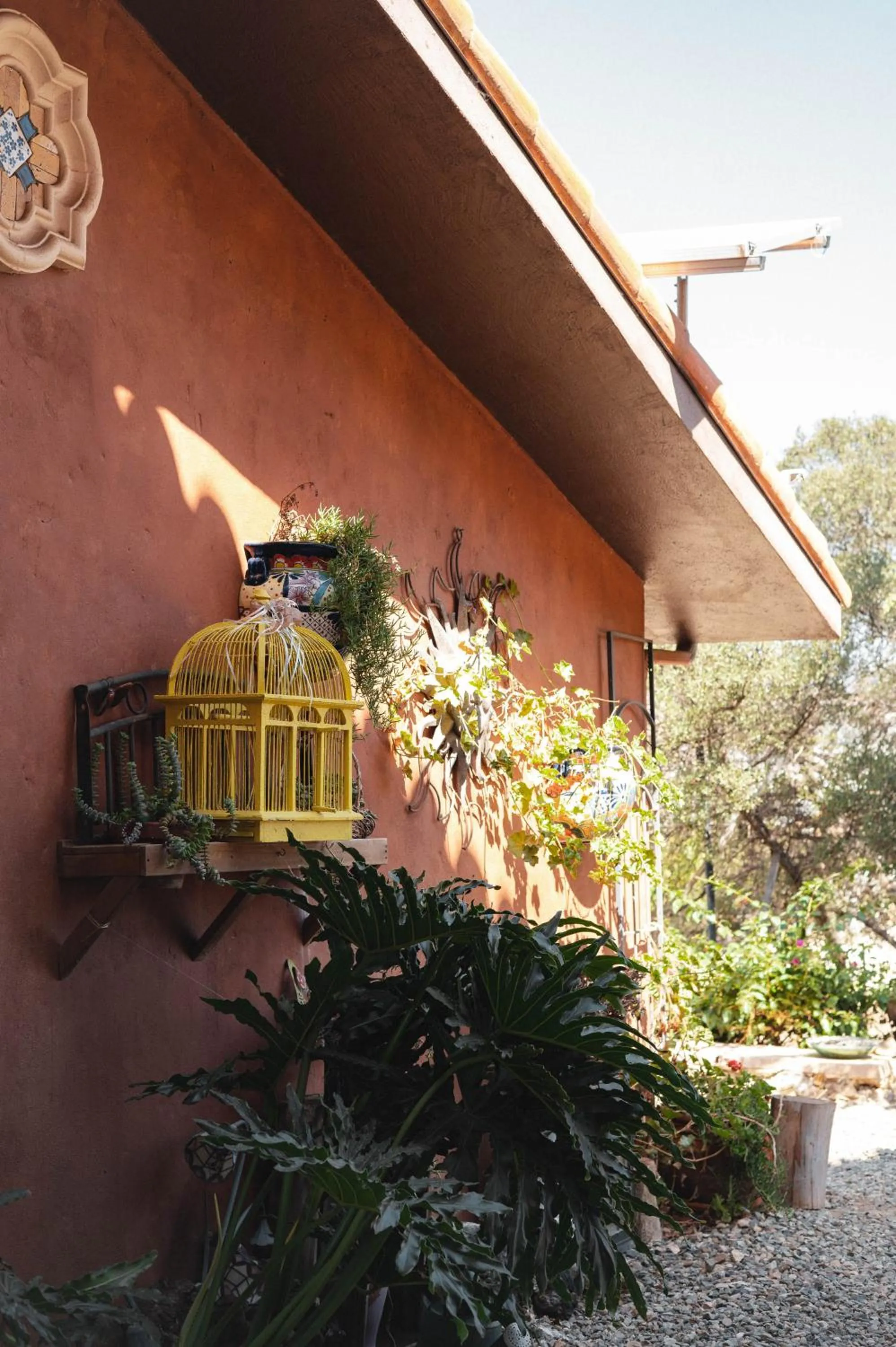 Garden in Viña Calabria