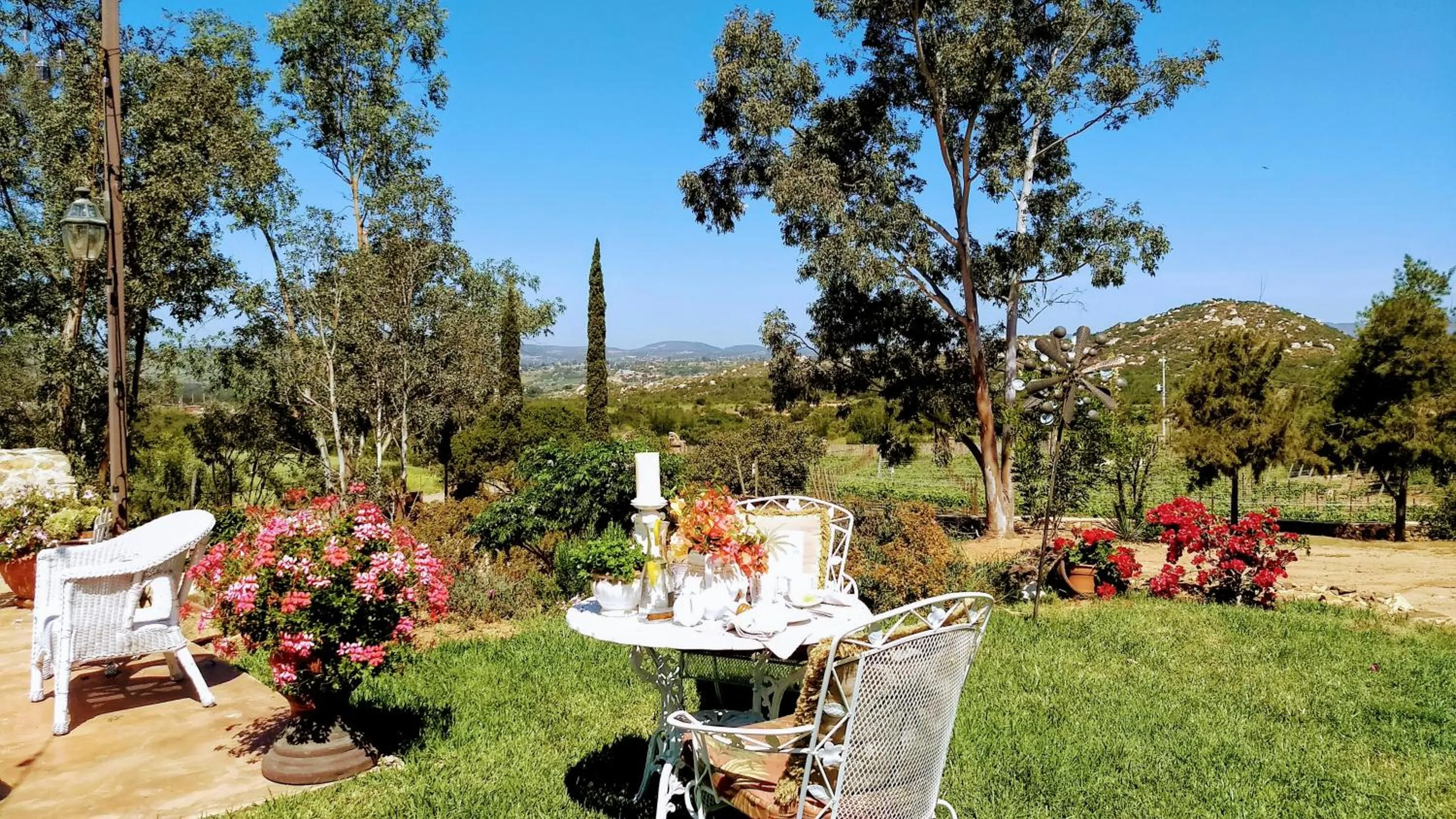 Garden view in Viña Calabria