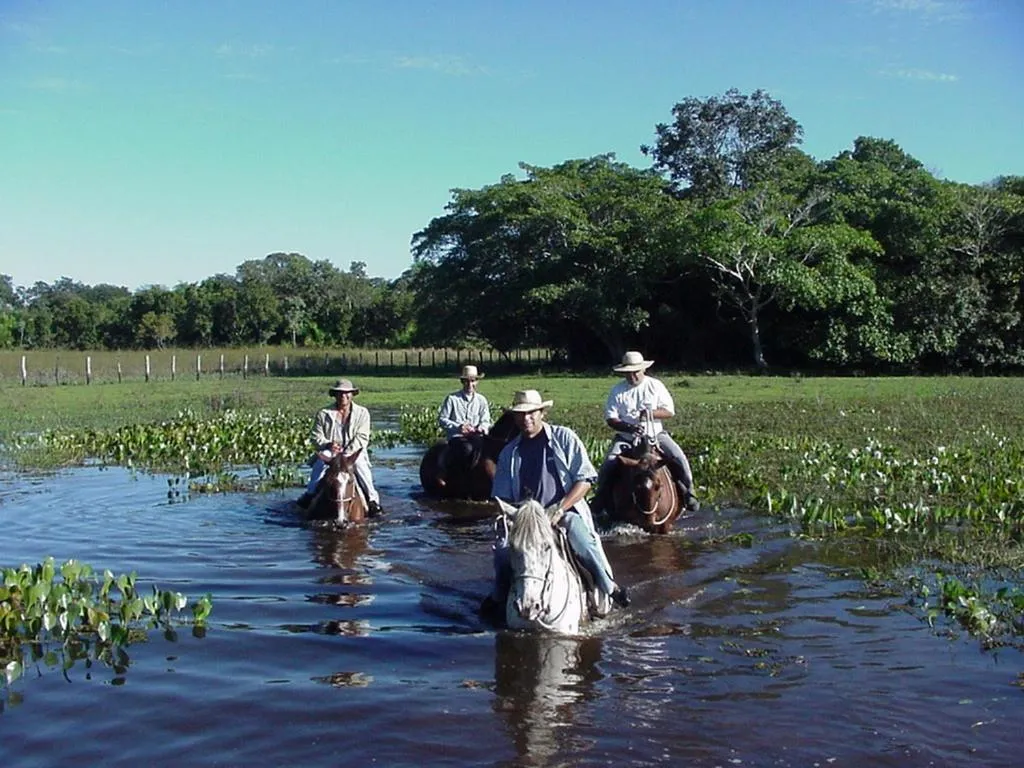 Horse-riding in Pousada Aguape