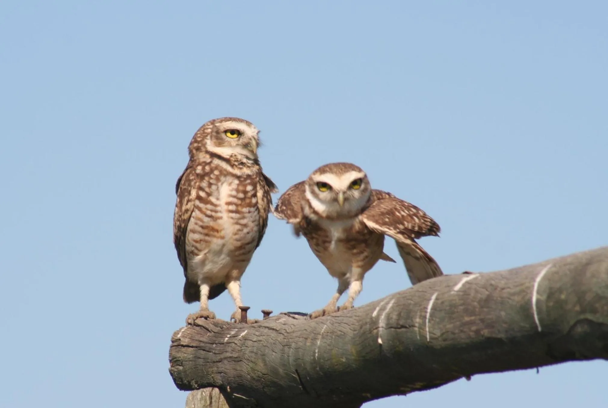 Day in Pousada Aguape