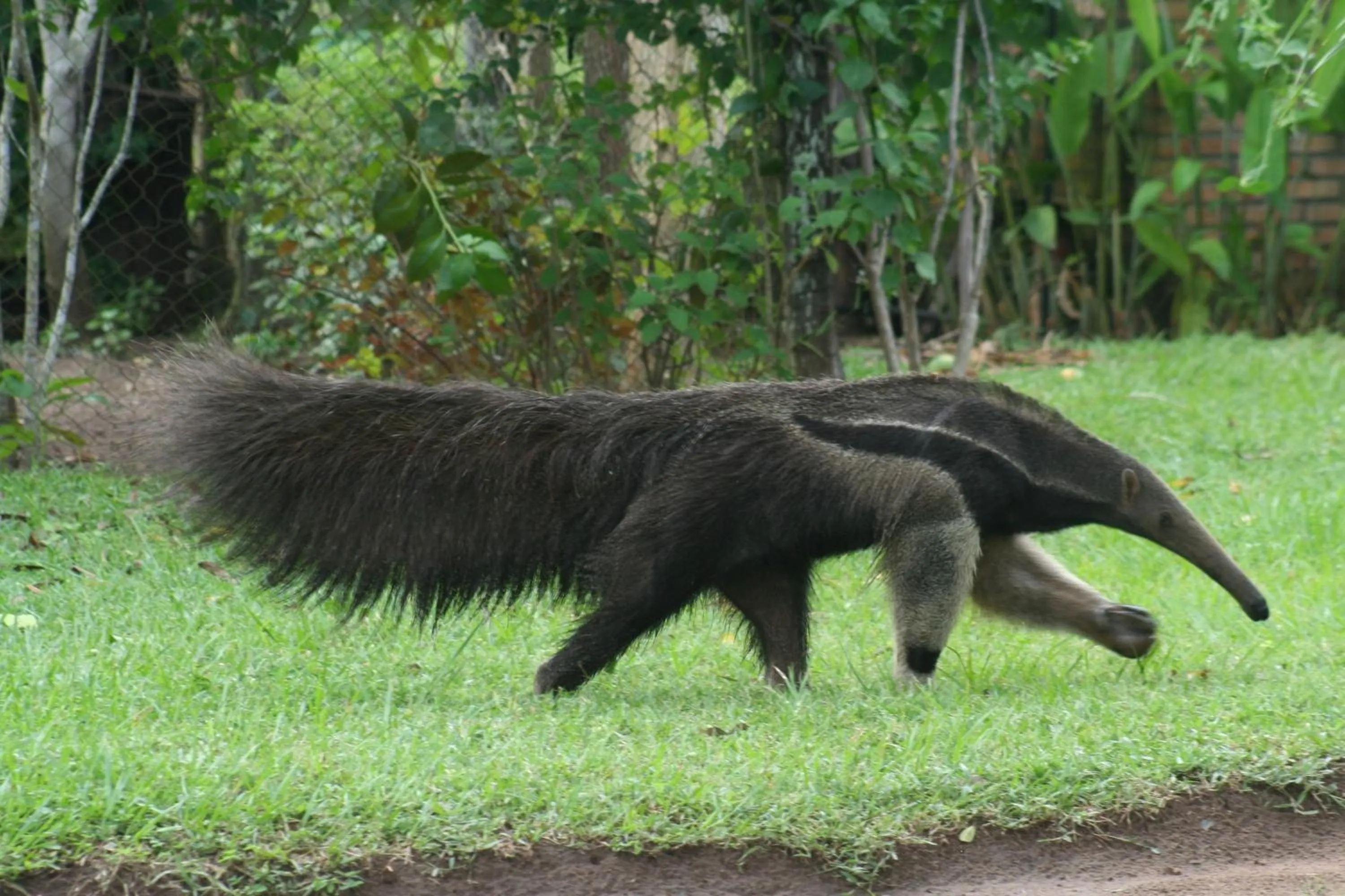 Day in Pousada Aguape