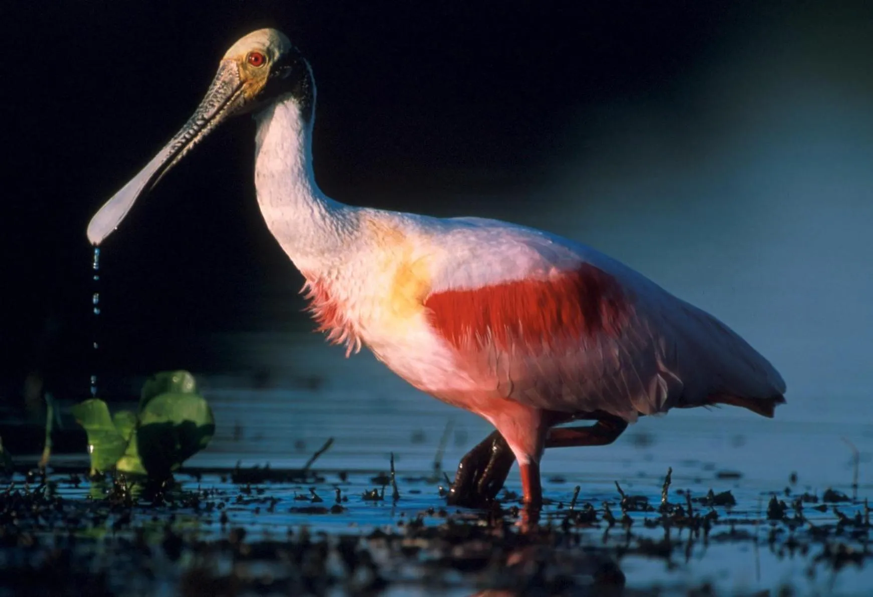 Day in Pousada Aguape