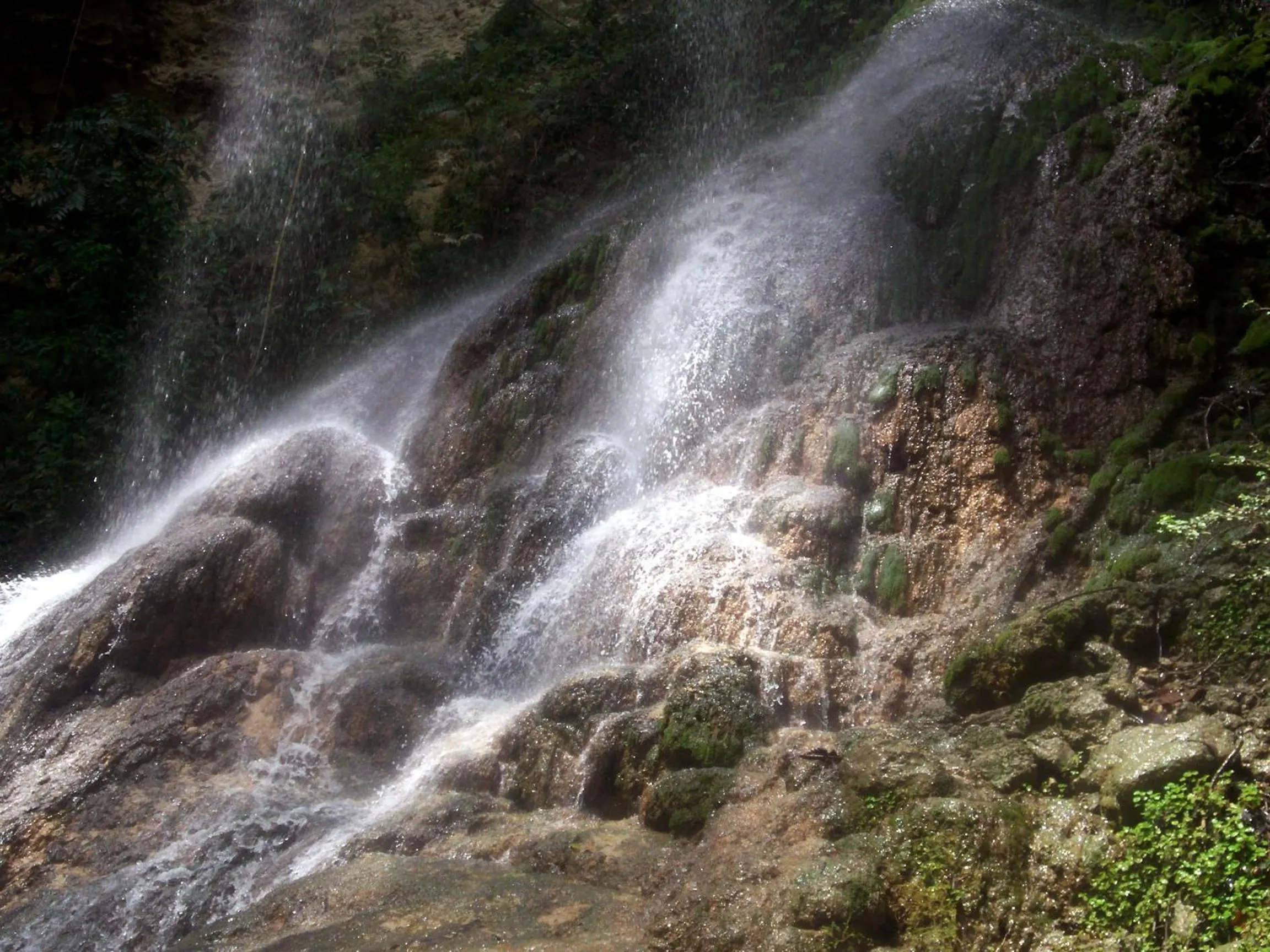 Off site in Hacienda el Jibarito