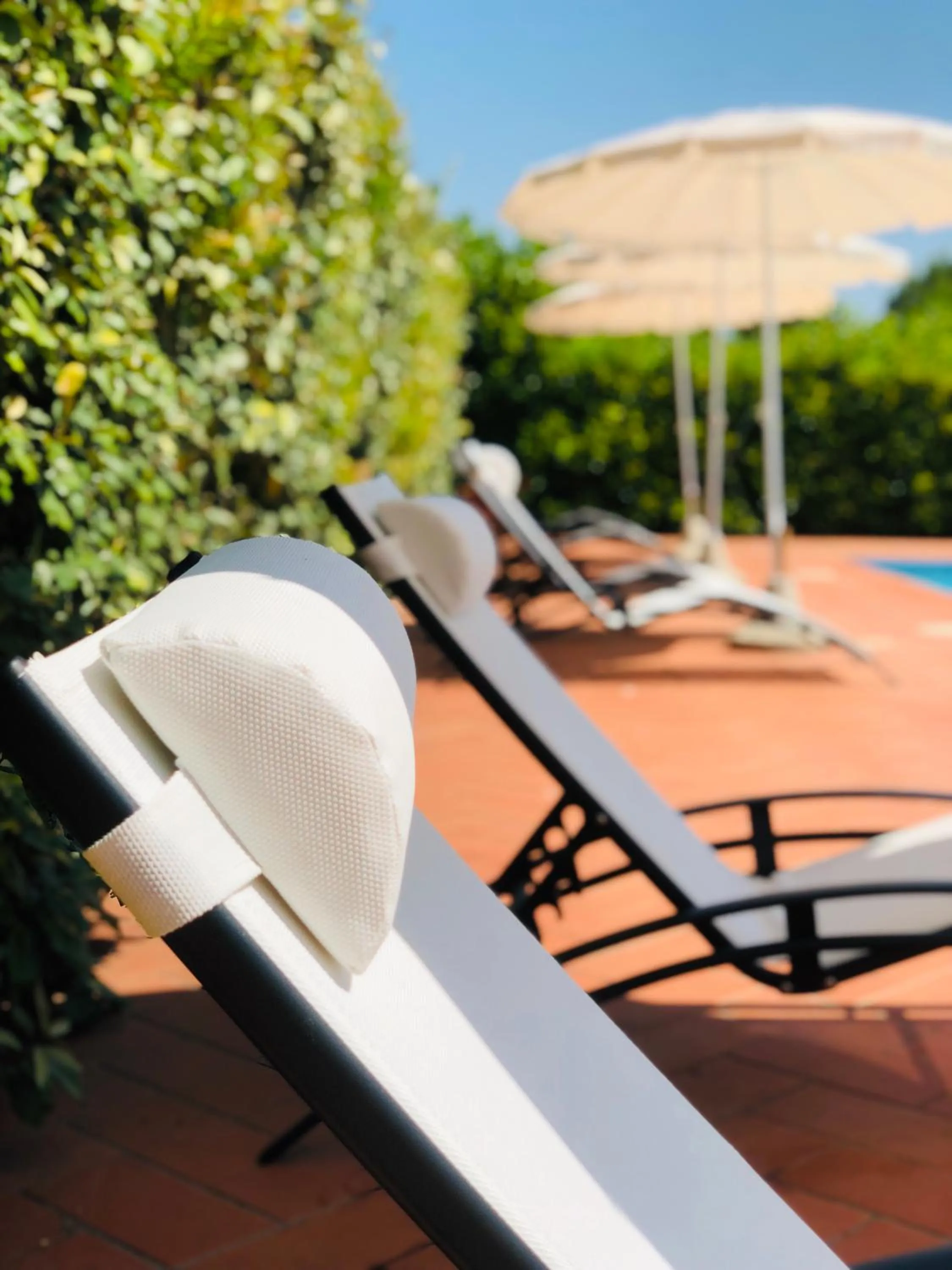 Pool view in Villa Lavinia B&B