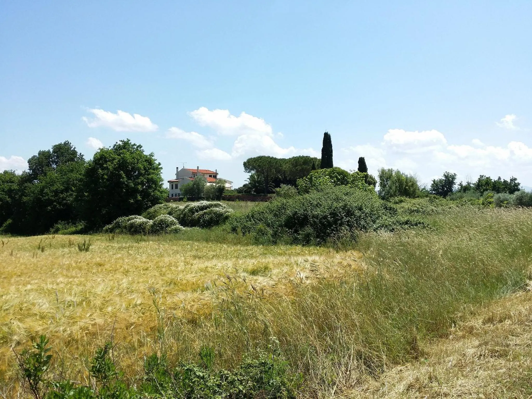 Property building in Villa Lavinia B&B