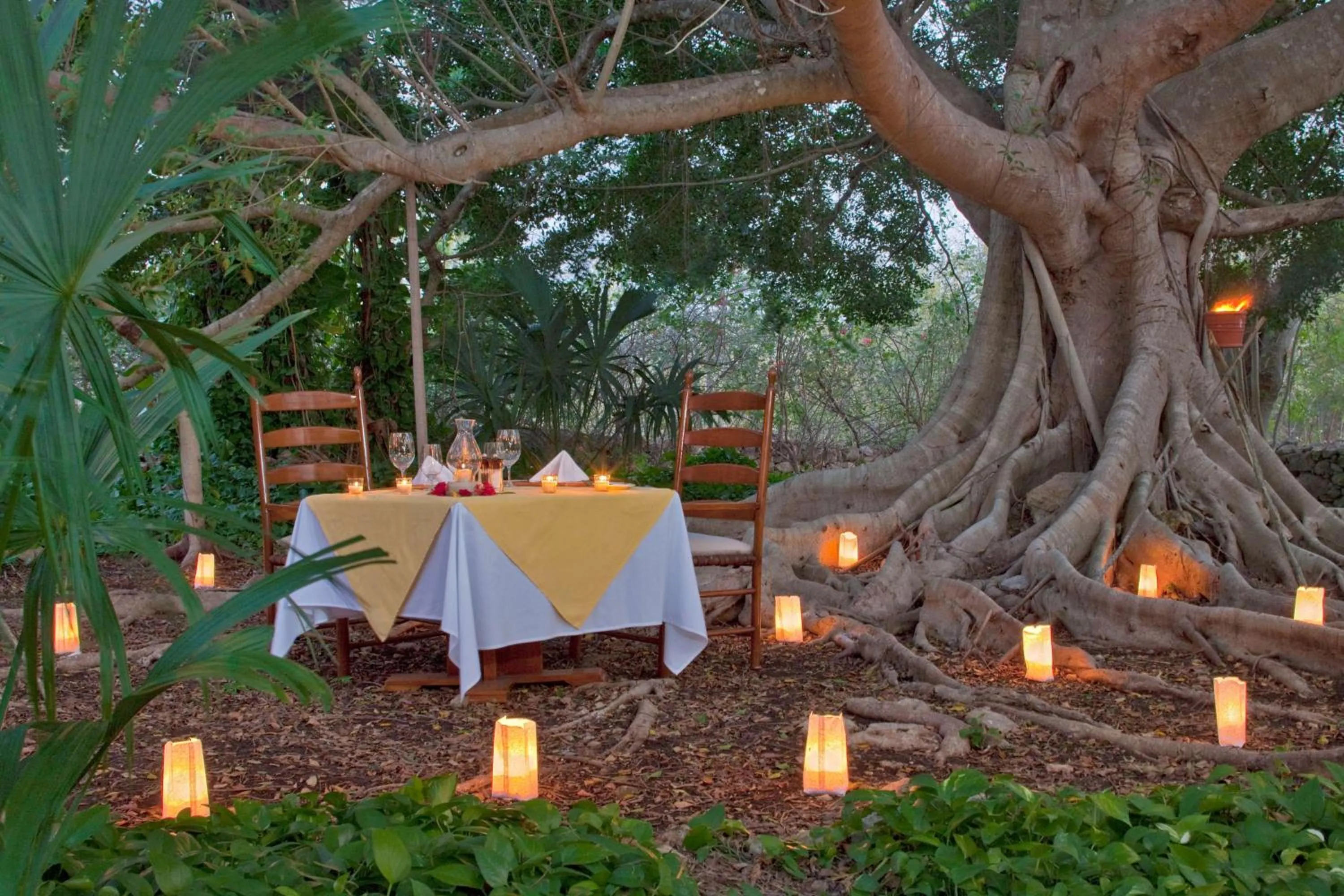 Garden in Hacienda San Jose Cholul
